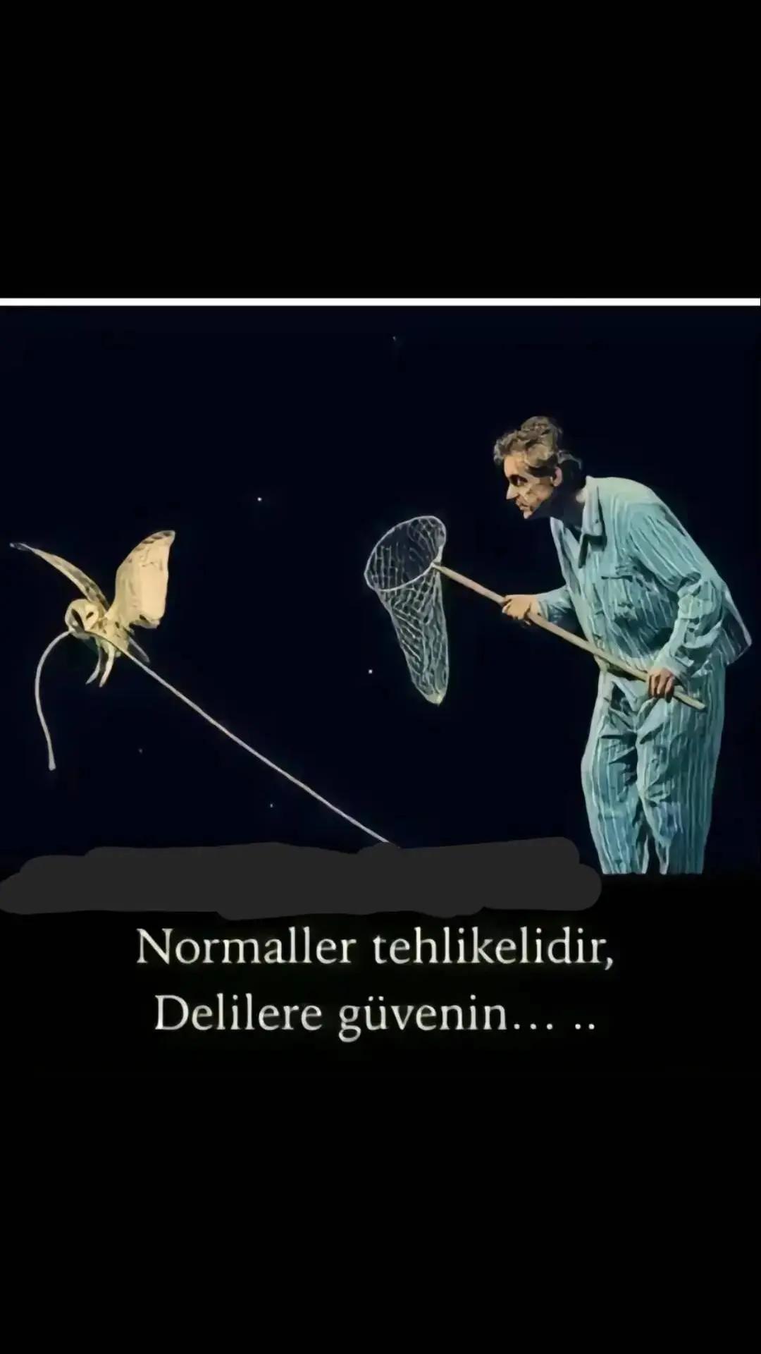 @Mujdat Kan