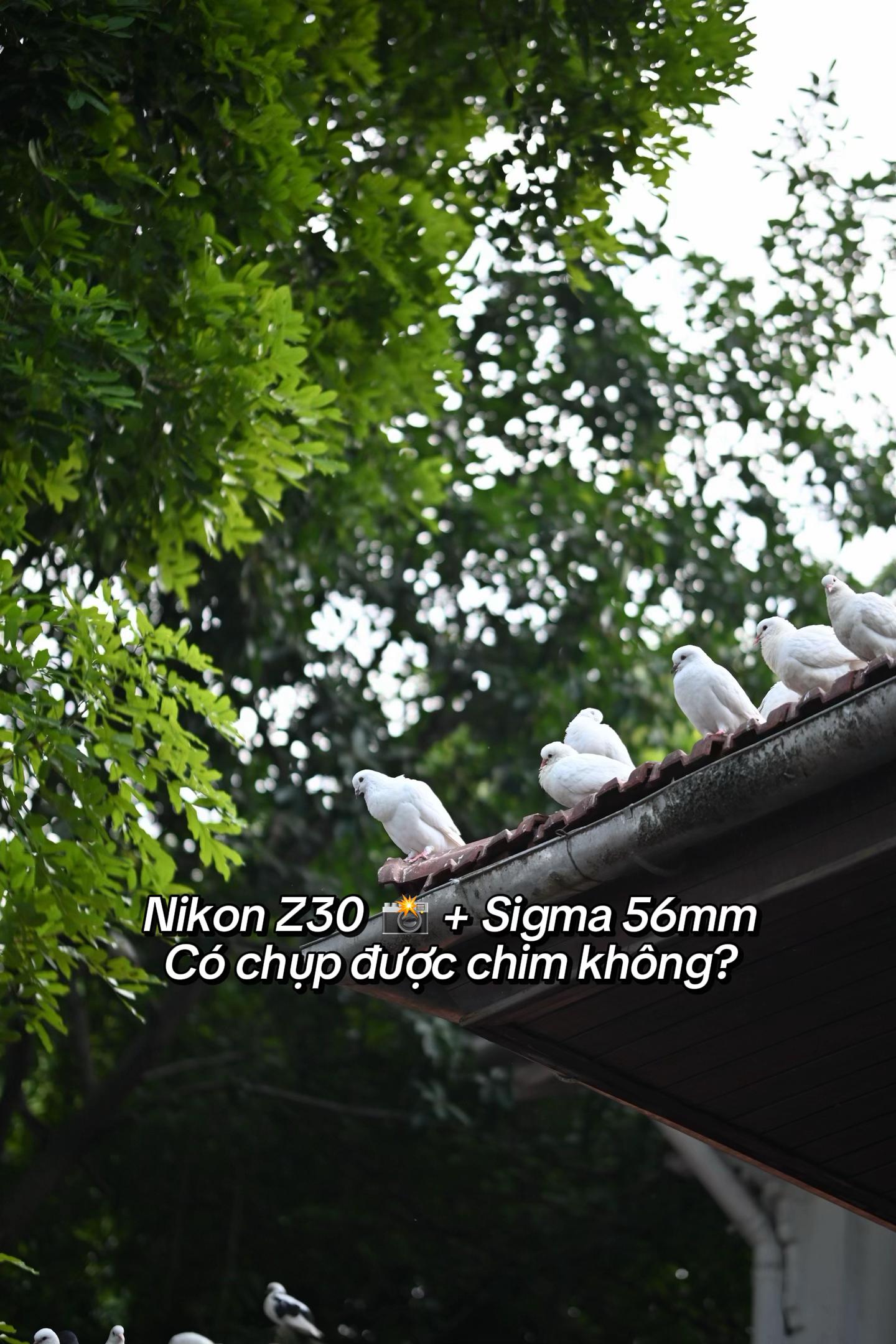 @Ngọc Tập Chụp Ảnh