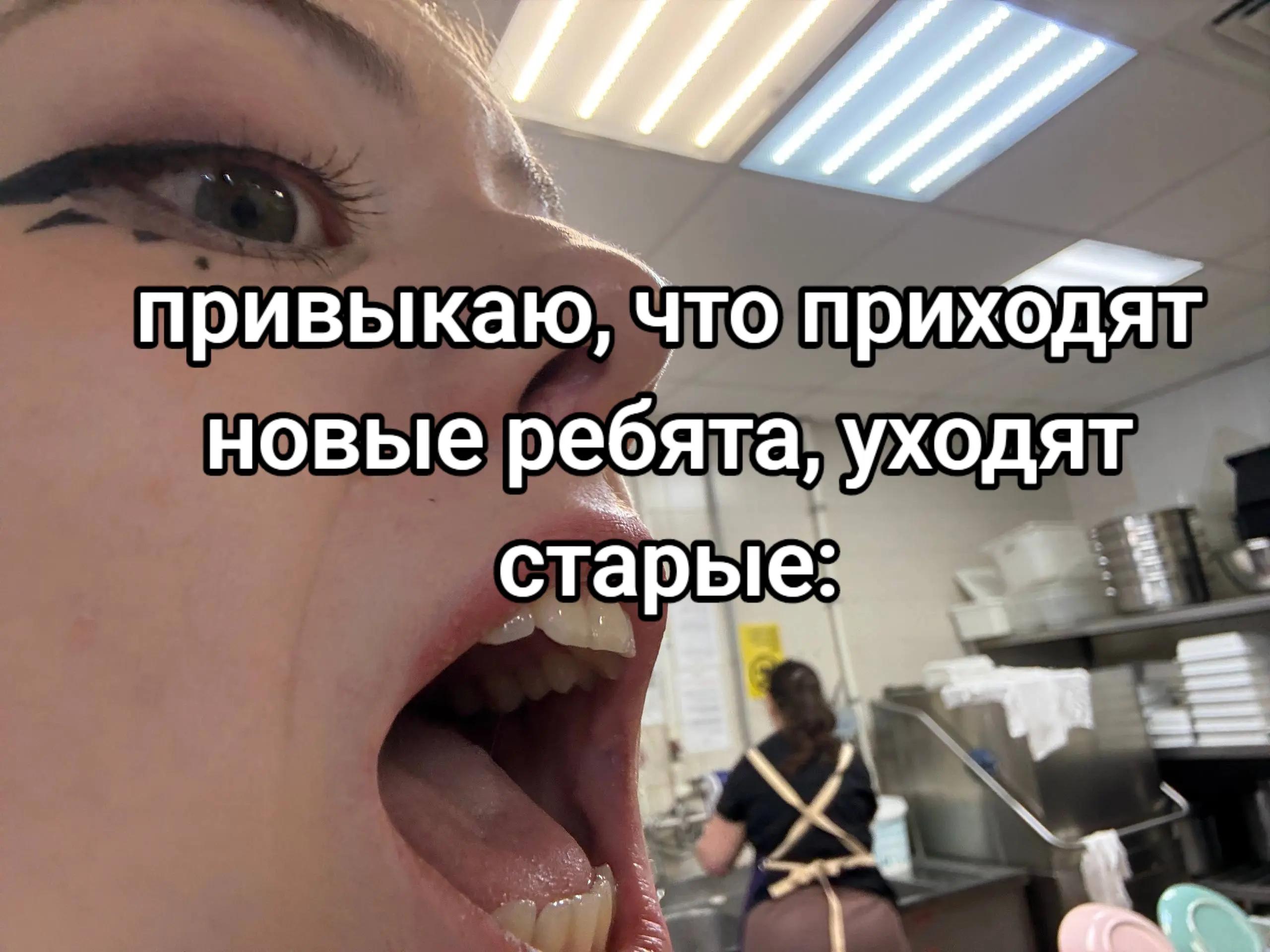 @ʕ·ᴥ· ʔ