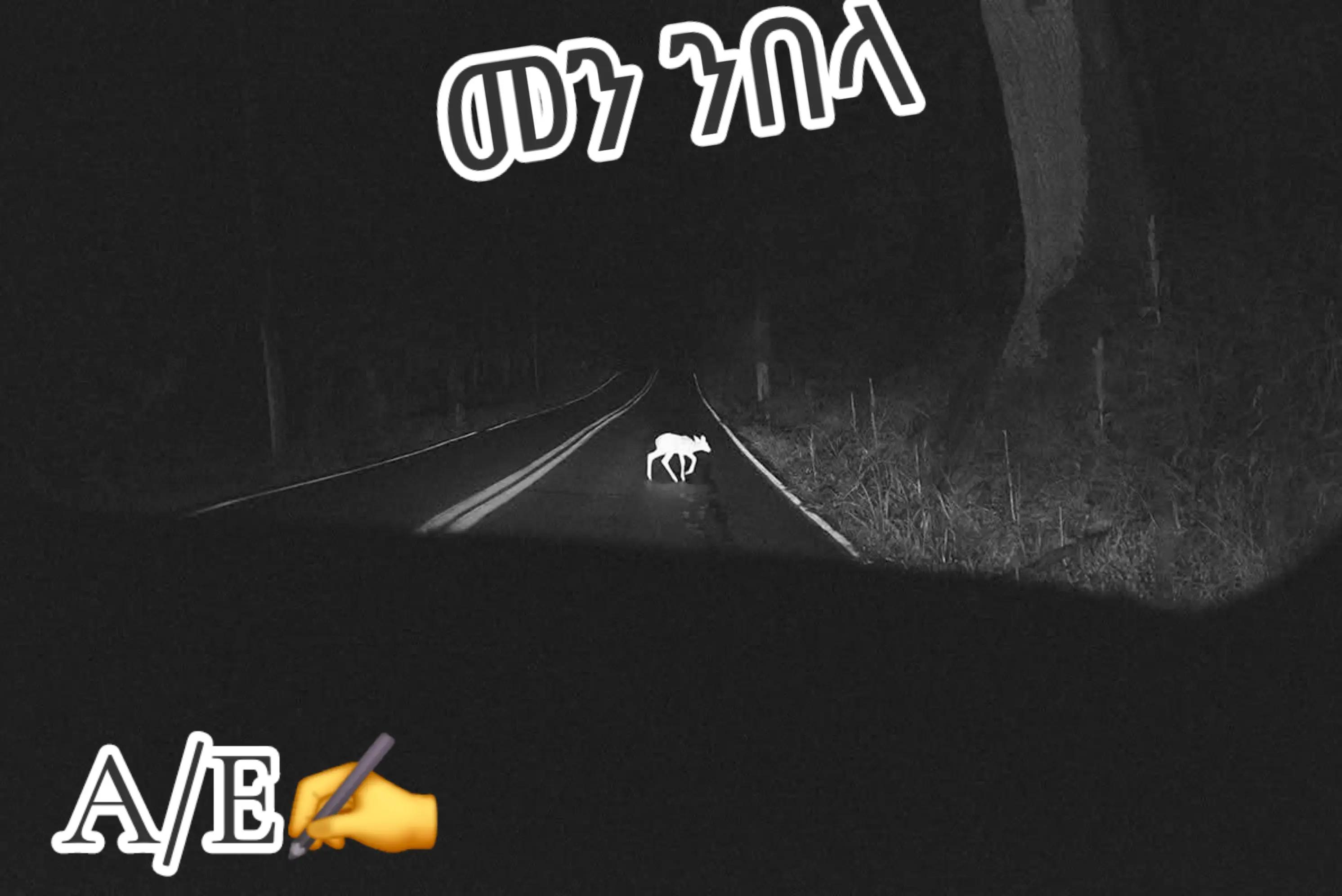 @ኣቢ ሊባናይ🇪🇷🌹🇳🇱♥️💯💒✝️✅