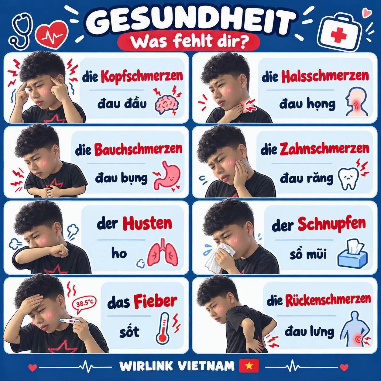 @WirLink Việt Nam