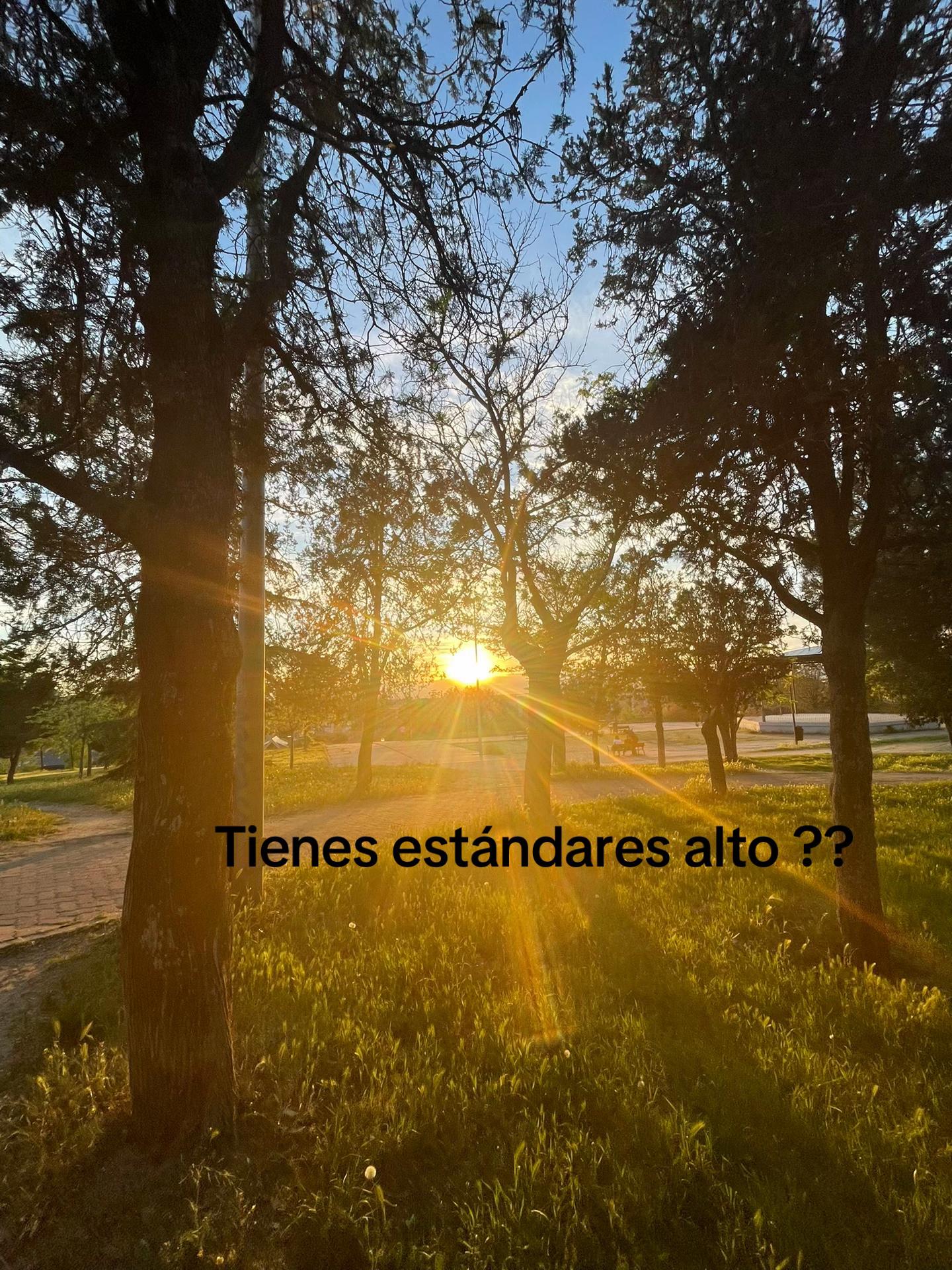 @yonaris ✨🦥