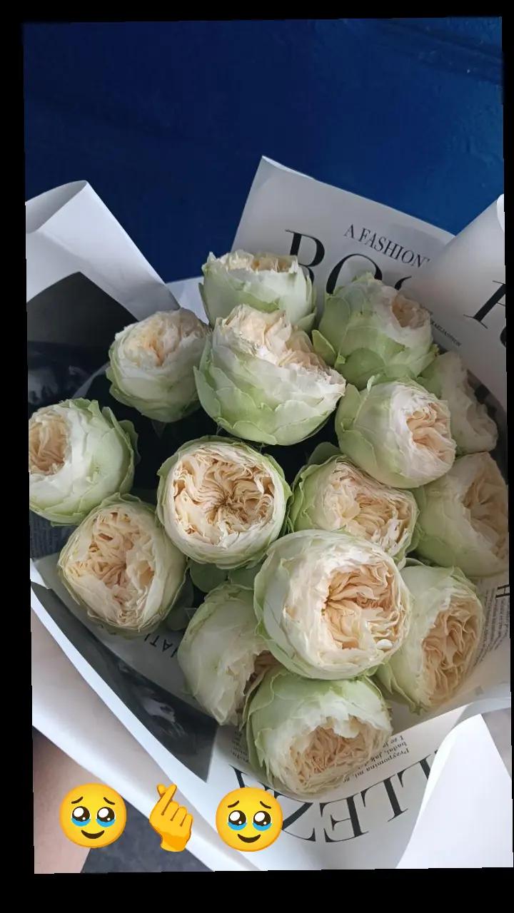 @besenok97