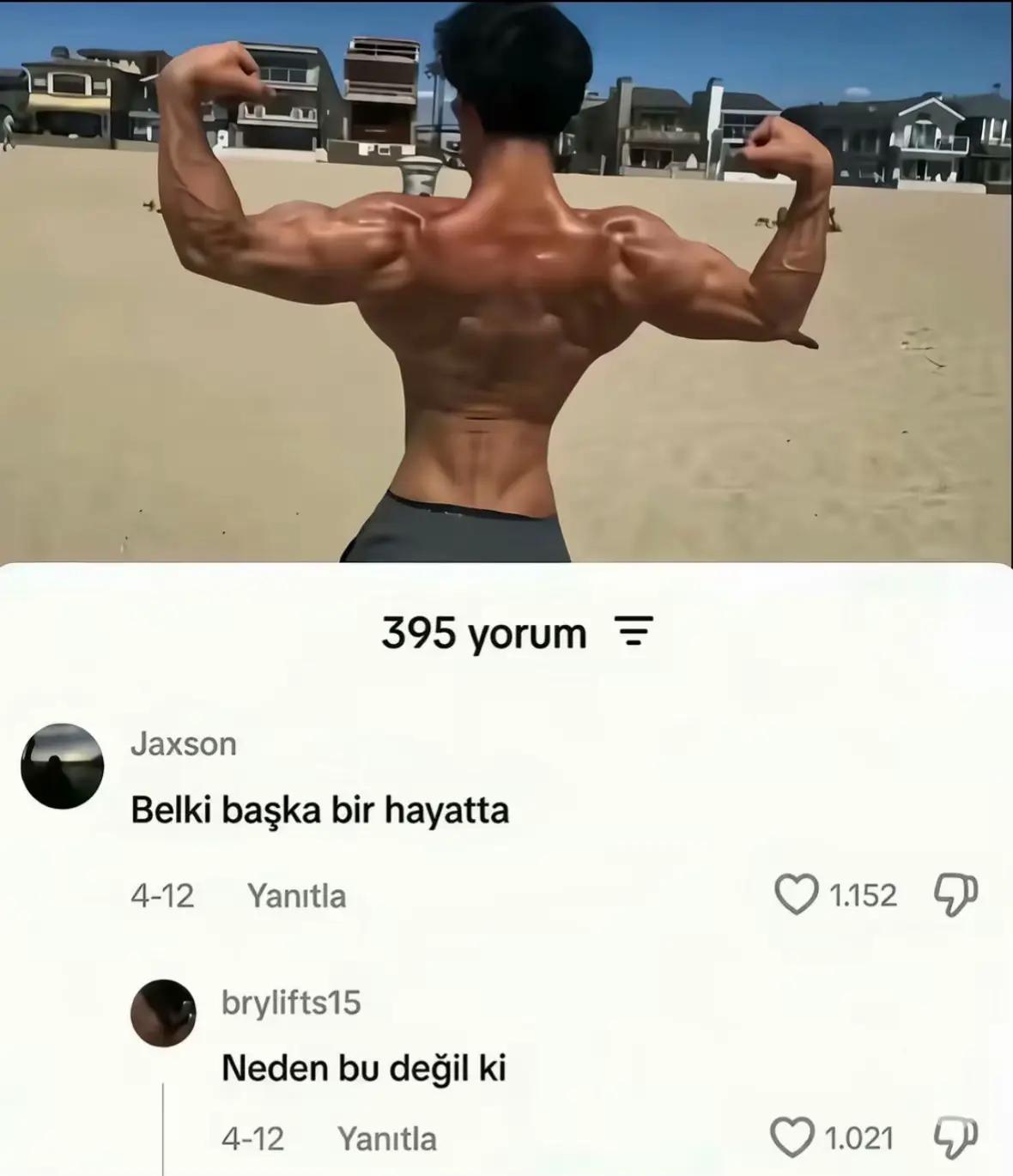 @palasthetics