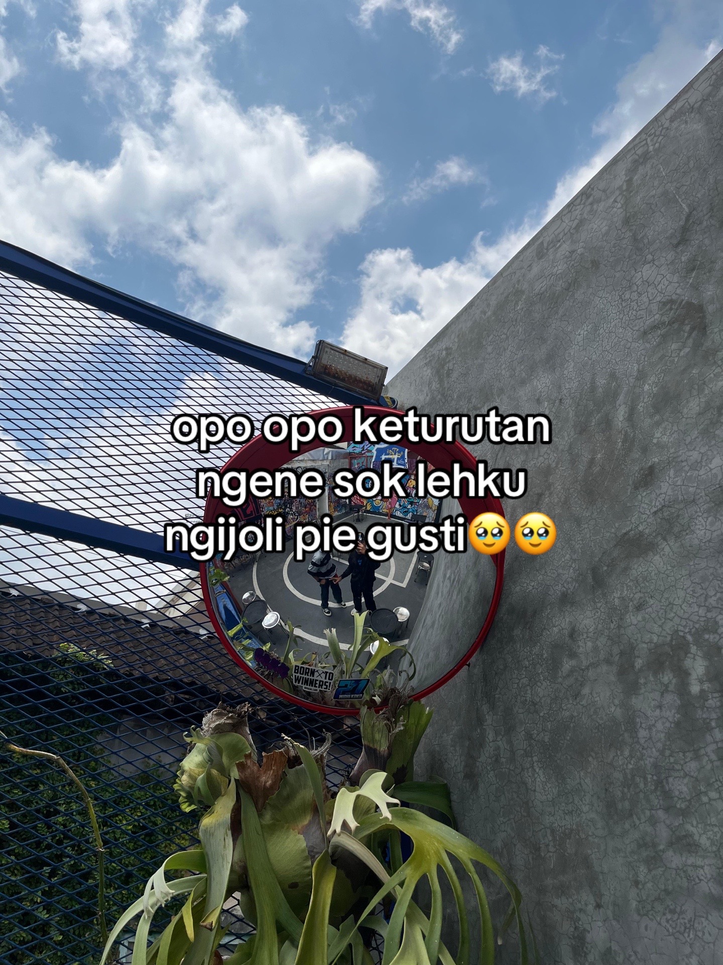@rul23