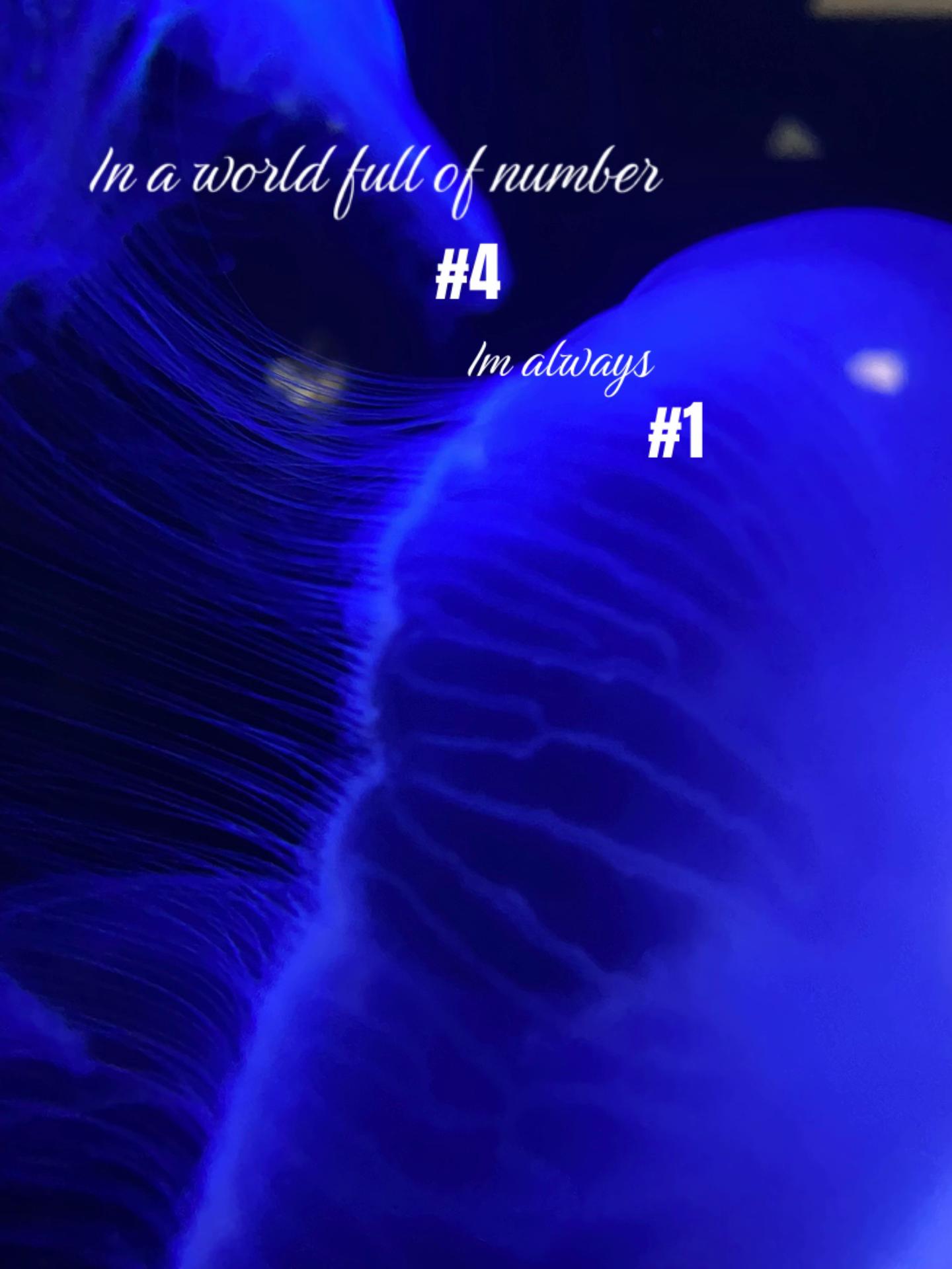 @𝐏𝐨𝐩𝐩𝐲𝐛𝐞𝐥𝐥𝐢𝐧𝐠𝐡𝐚𝐦