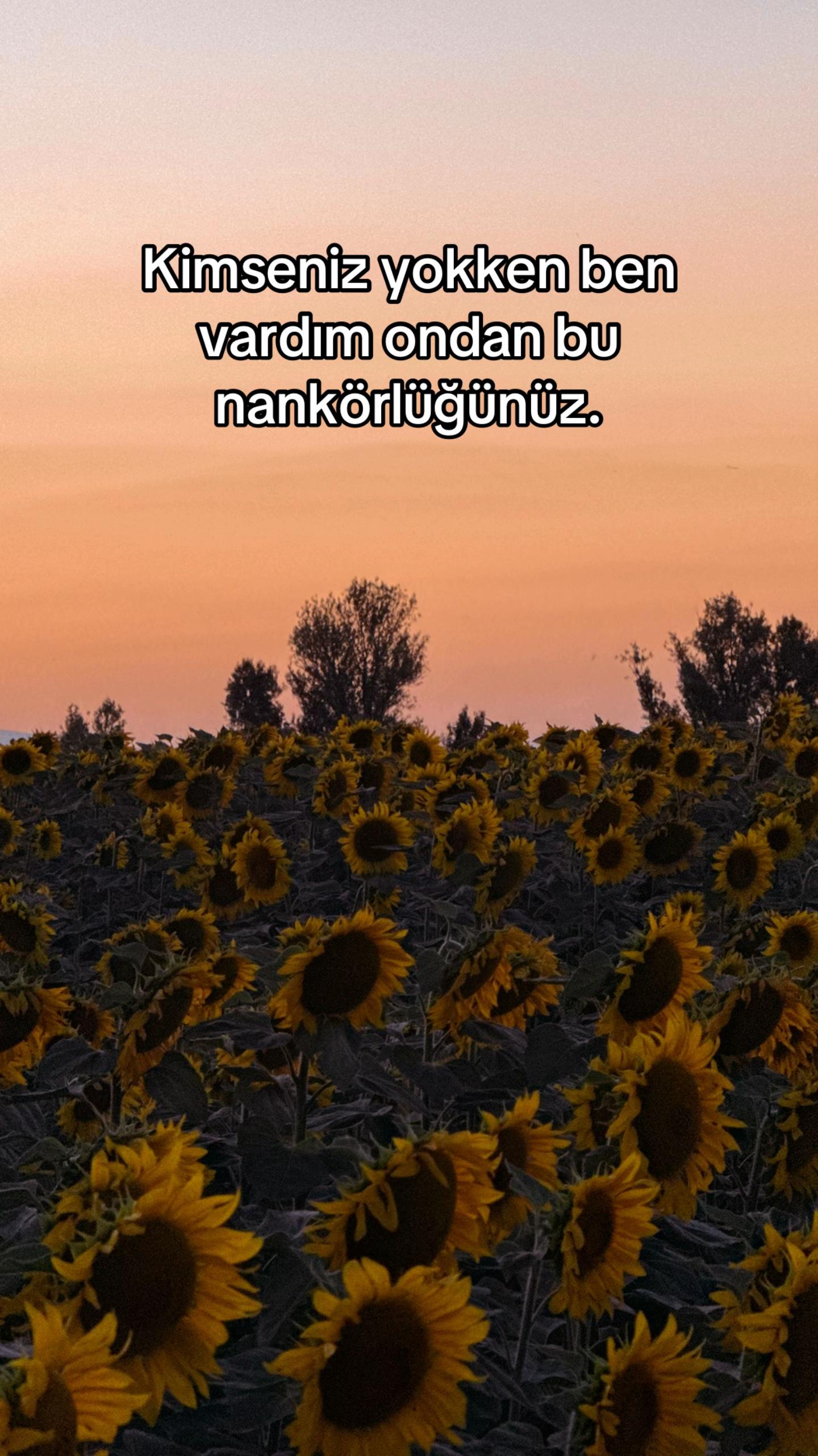 @Semih Zeybek
