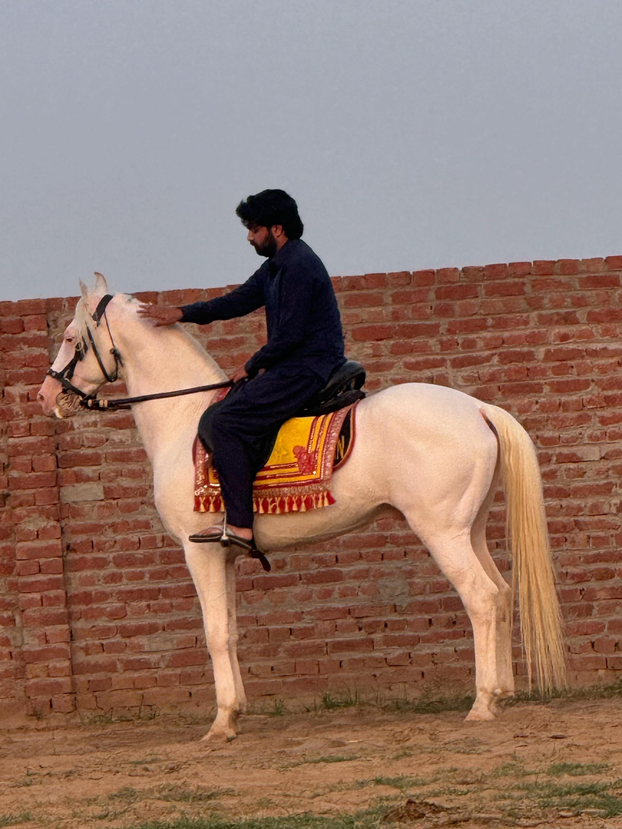 @Lord.Gujjar