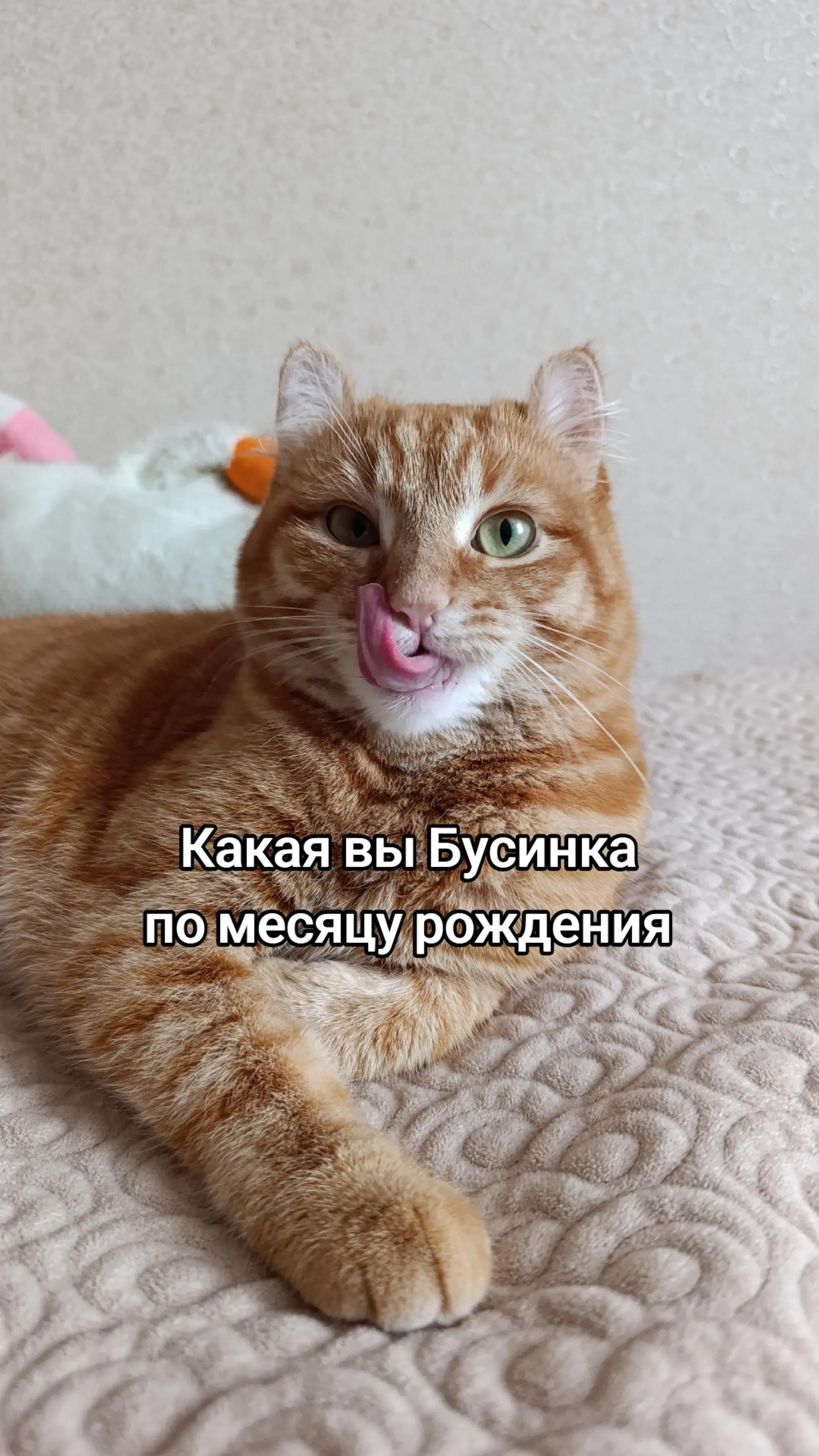 @GelinaPike