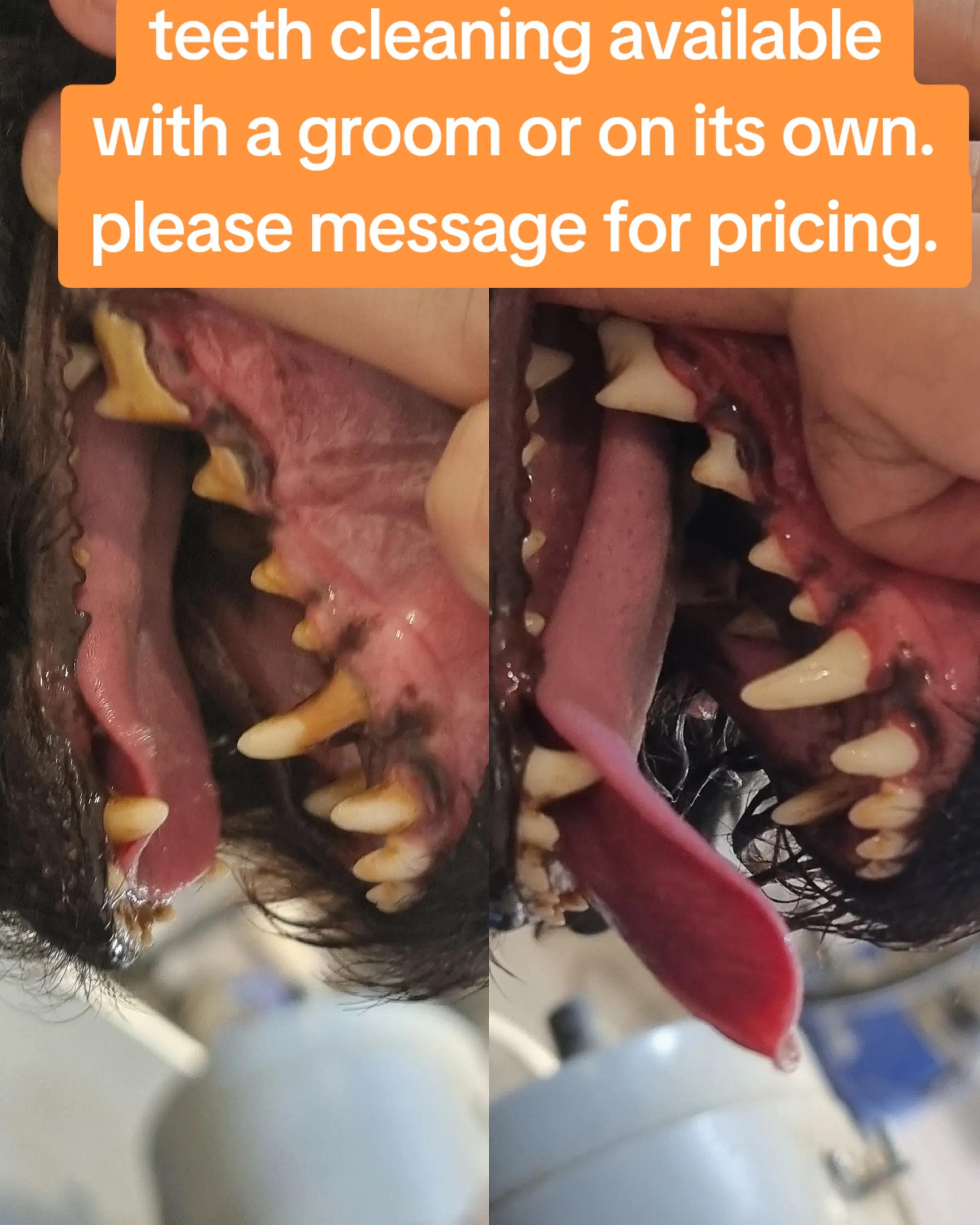 @PawsomeDogGroomingSouthOxhey