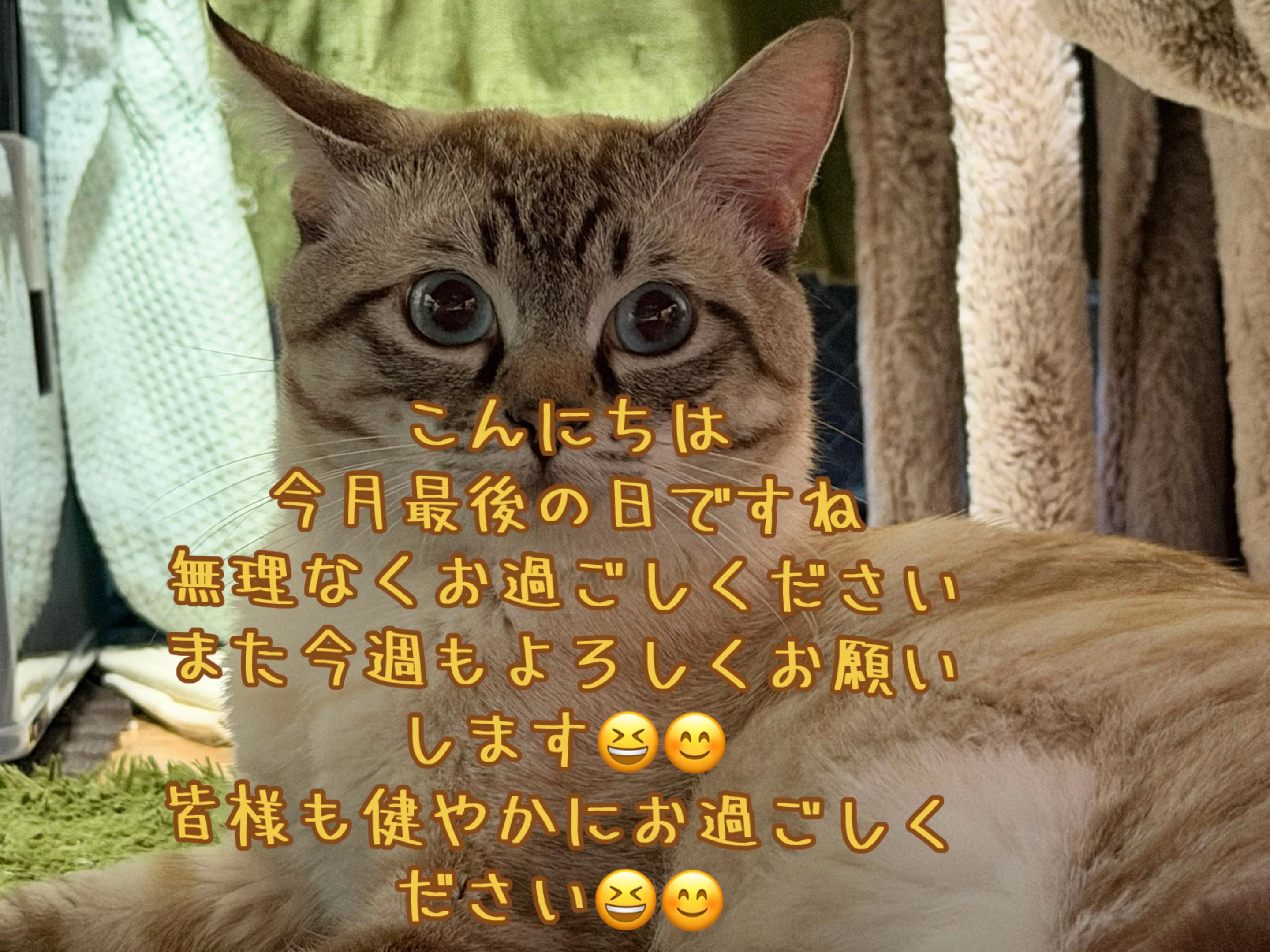 @ð¥é»æŸ€æ£å¿ð¥