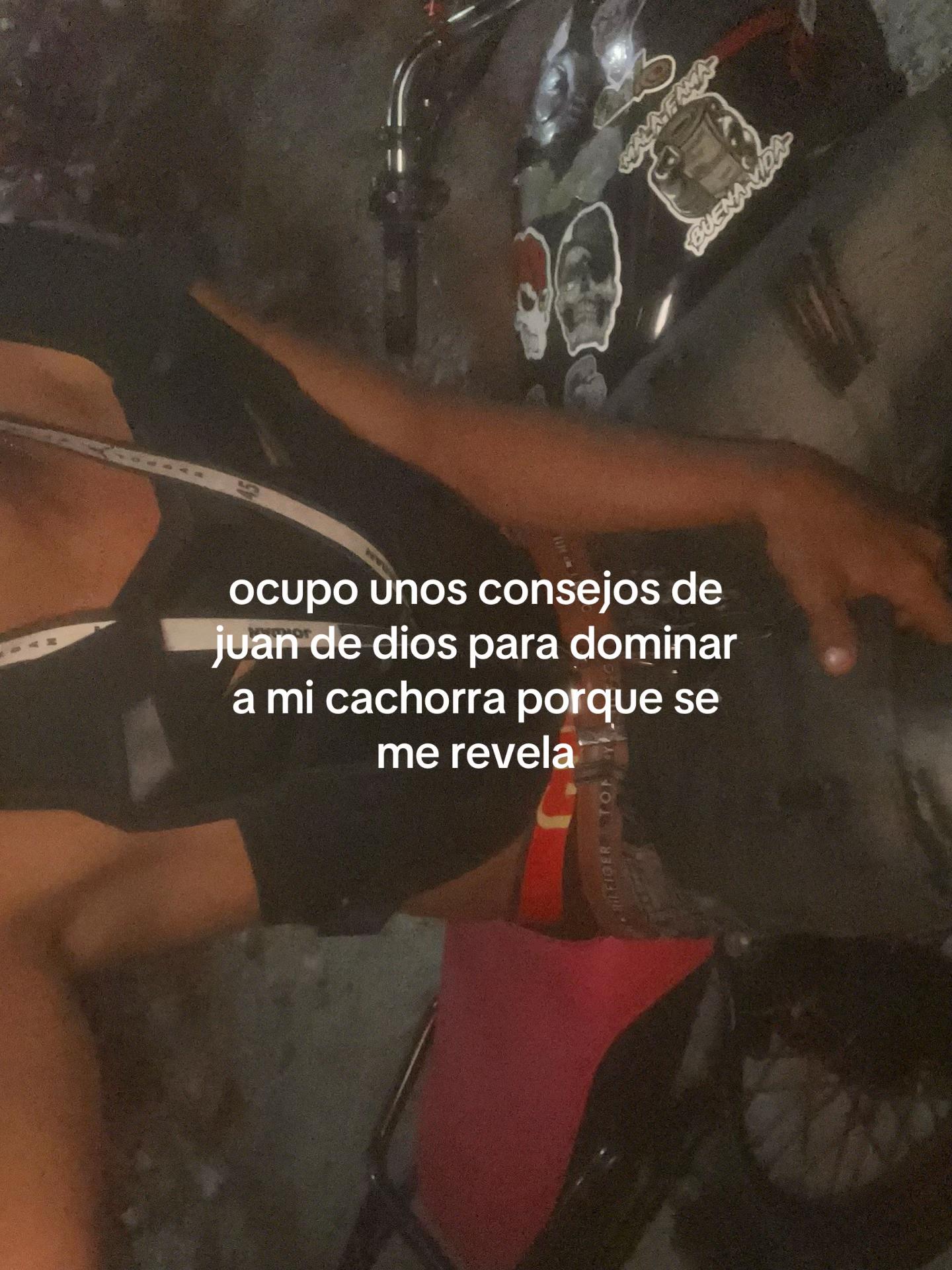 @Irvinsito