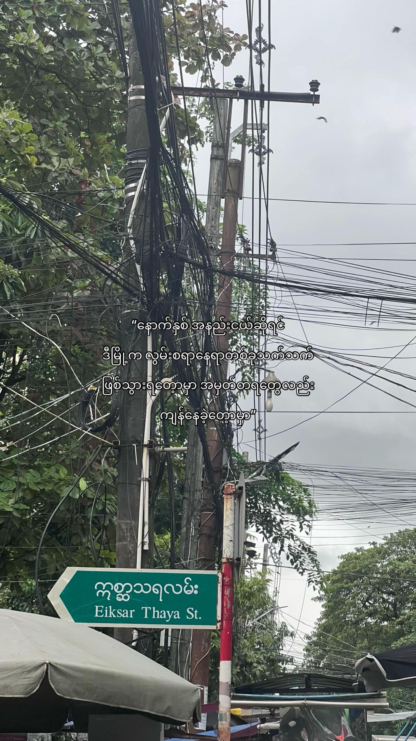 @မဟေသီ🐢