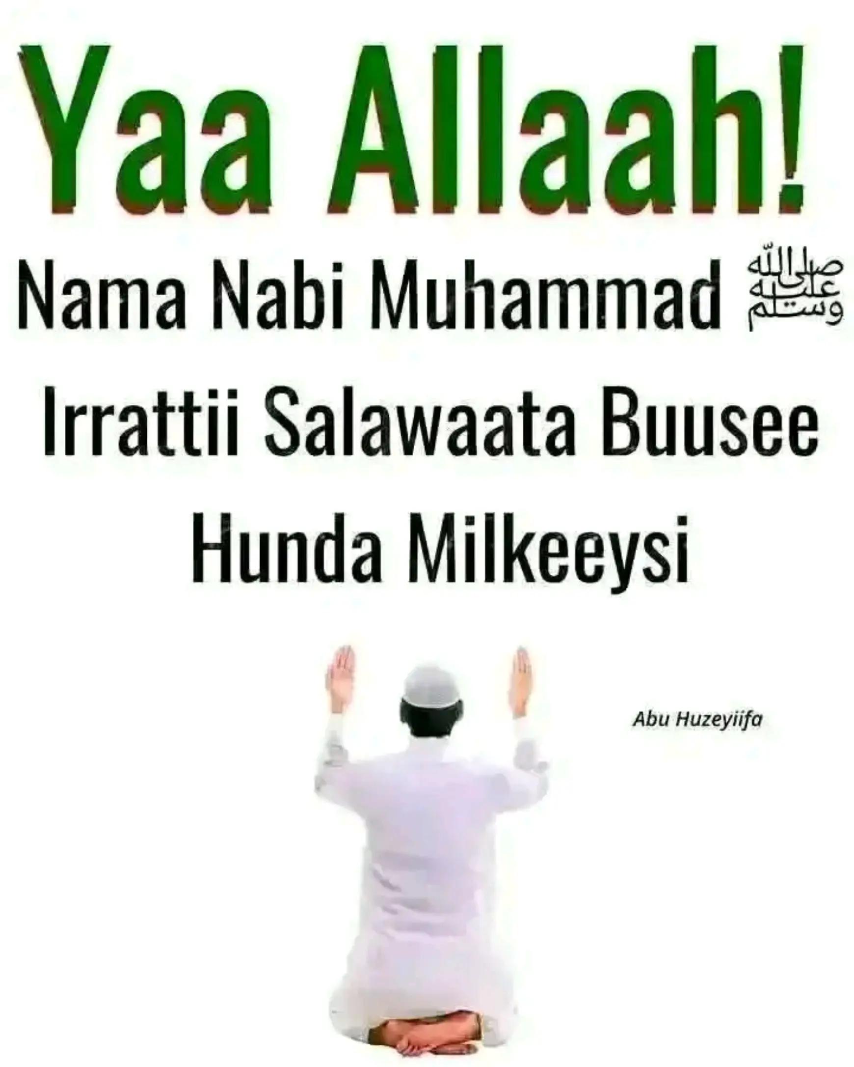 @Alamudin 🕌🕌🕌🕌🕌🕌🕌
