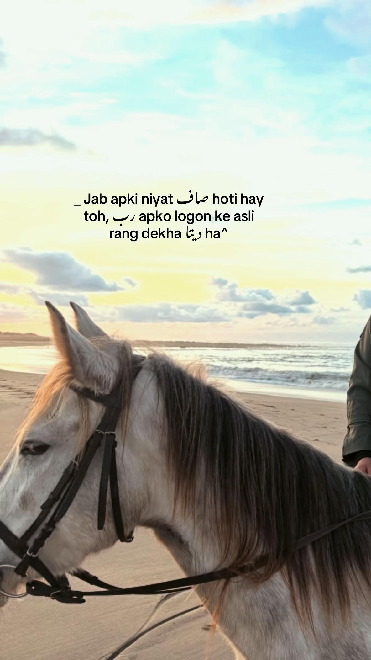 @۵ب🚩۰
