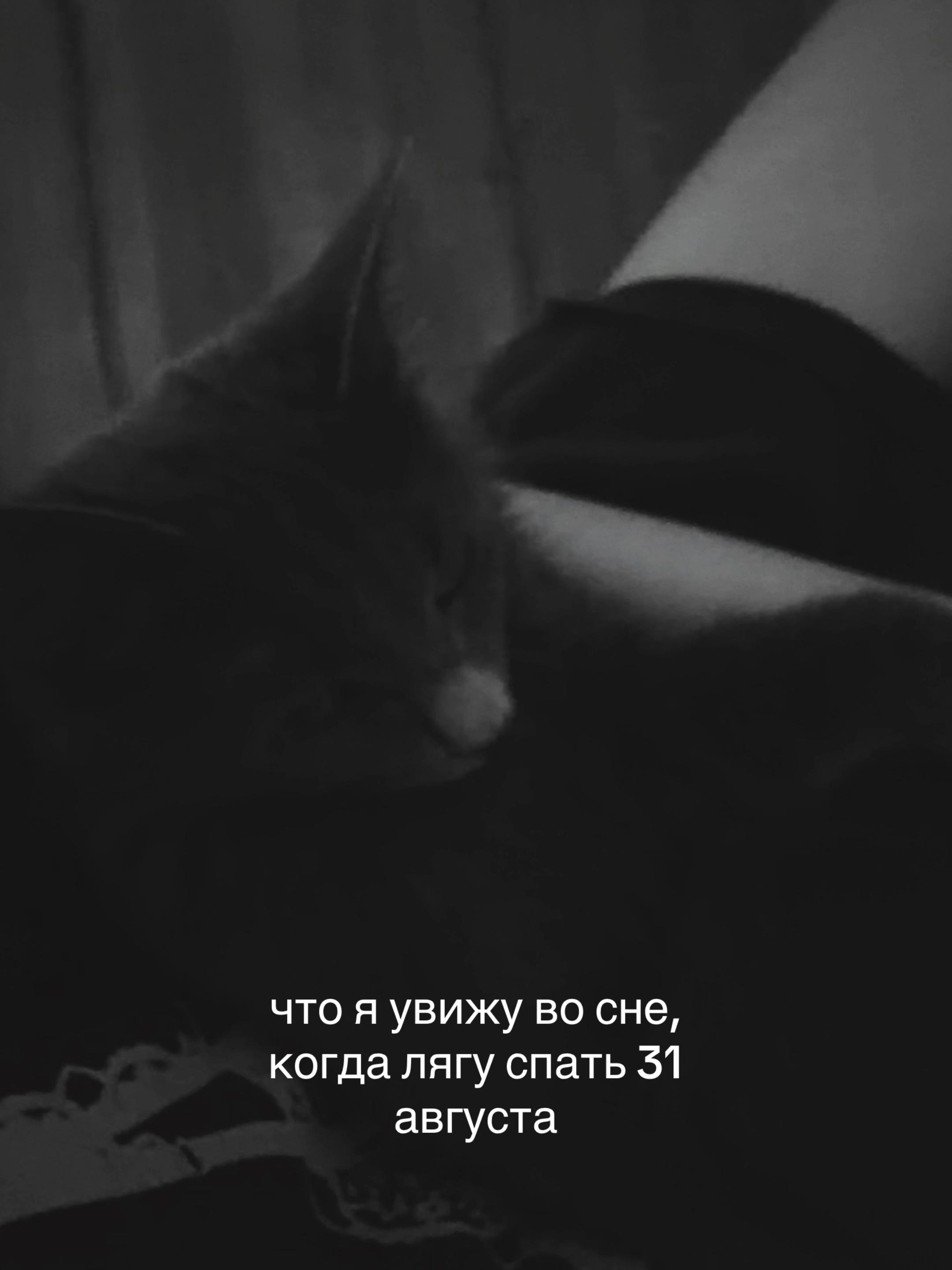 @тгк:zarinkav