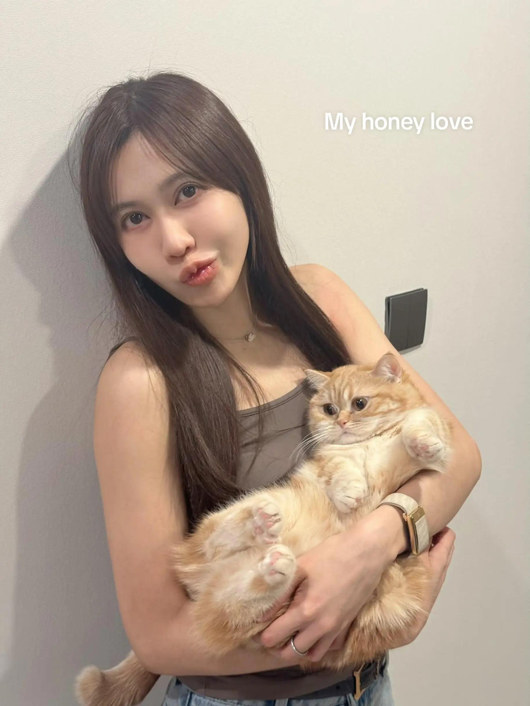 @NoEykan