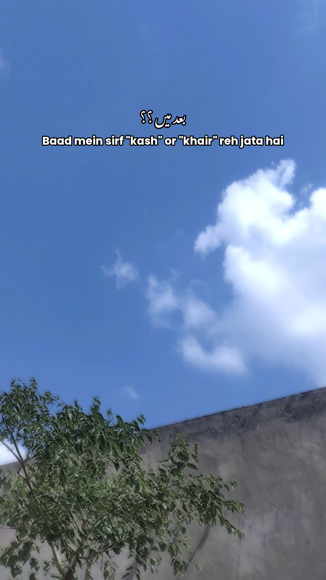 @𝐑𝐨𝐨𝐣.𝐚𝐞𝐬𝐭𝐡𝐞𝐭𝐢𝐜🪐