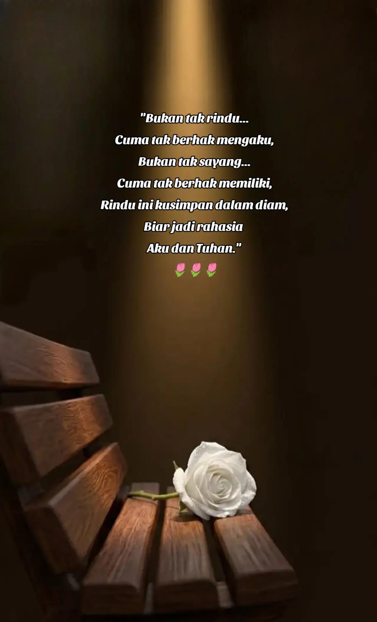 @🌷 Rose 🌷