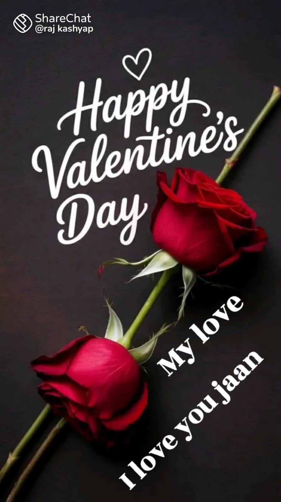 @@ hamsafar