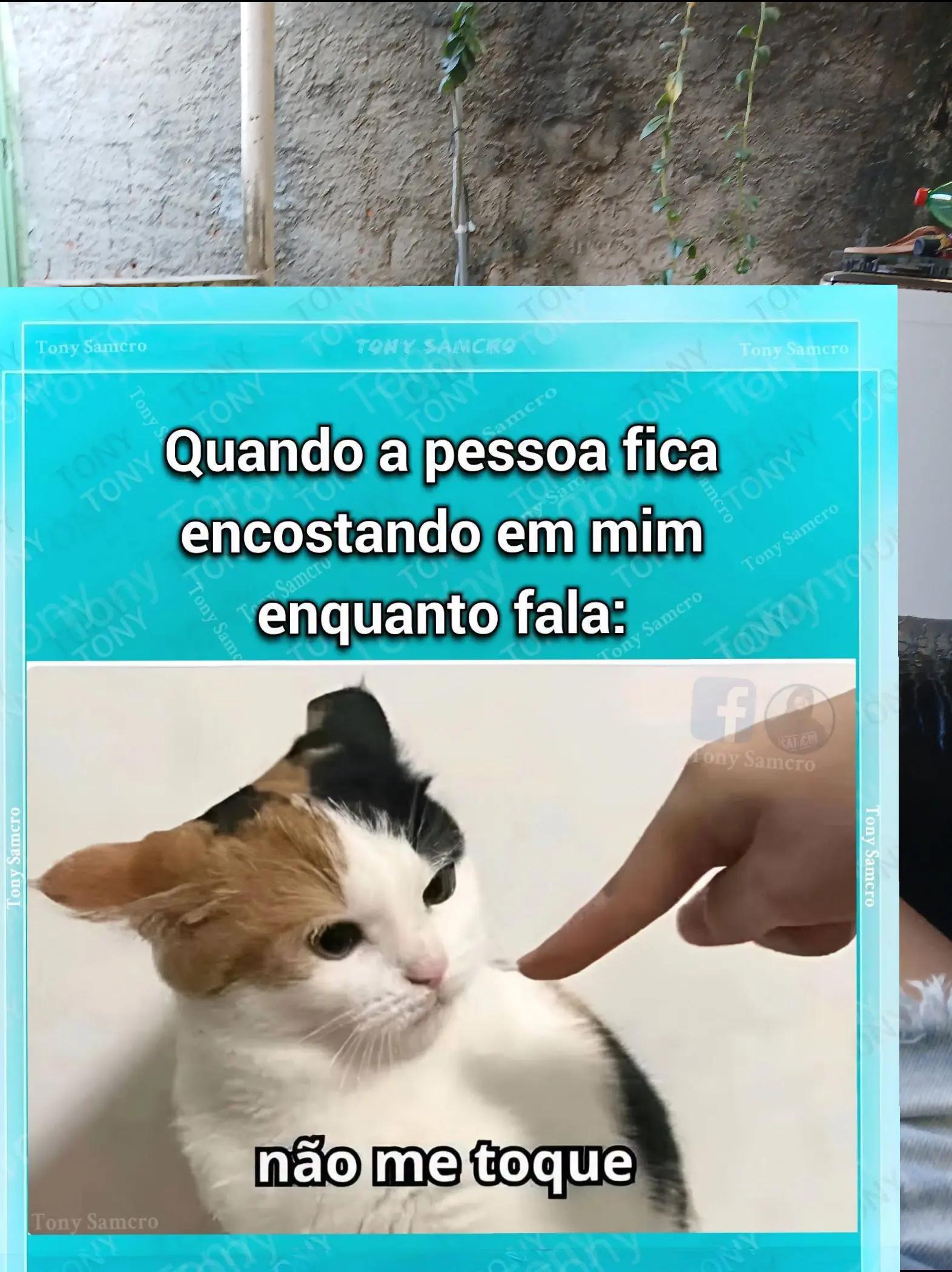 @humor da Célia 🤣