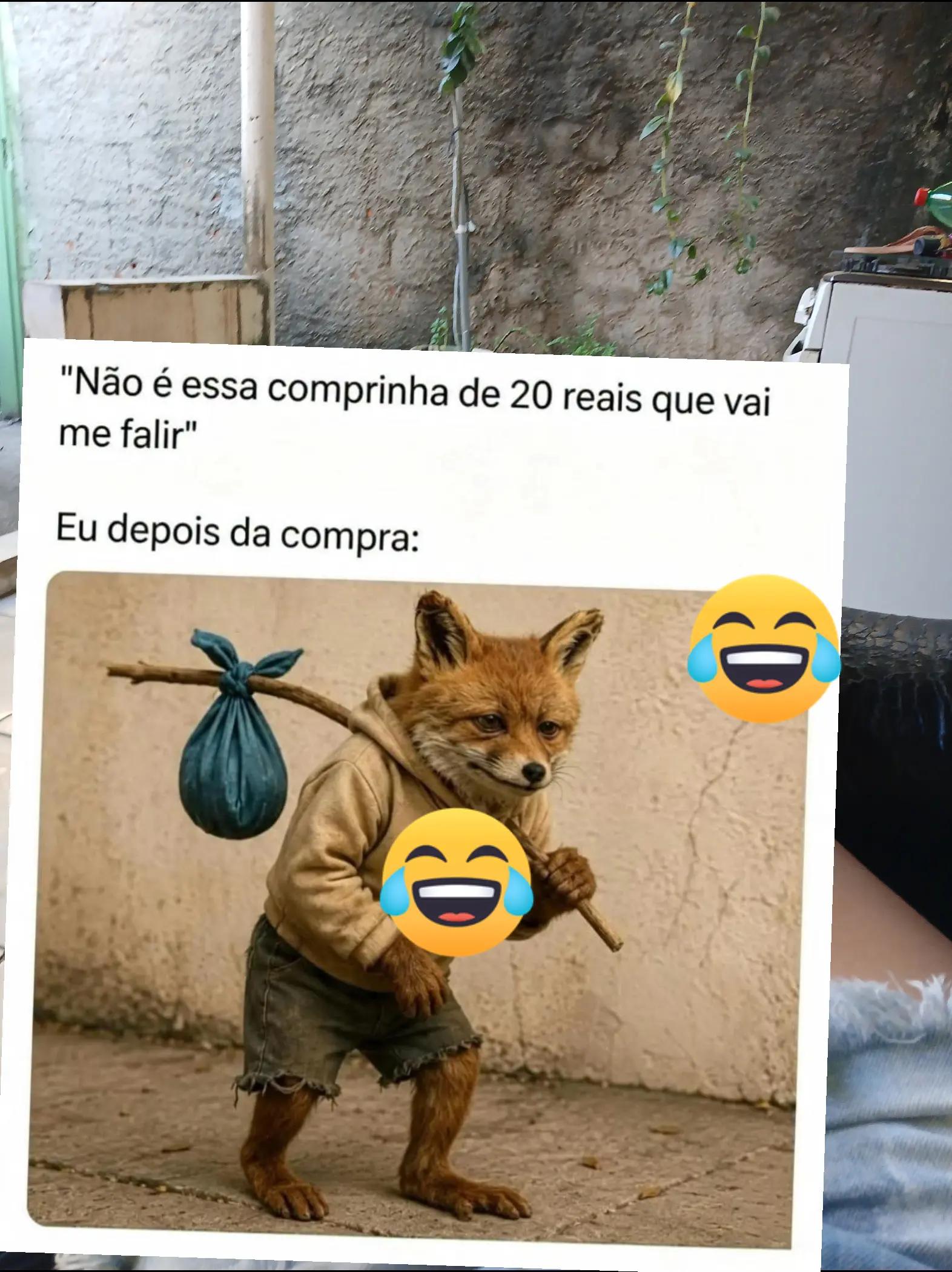 @humor da Célia 🤣