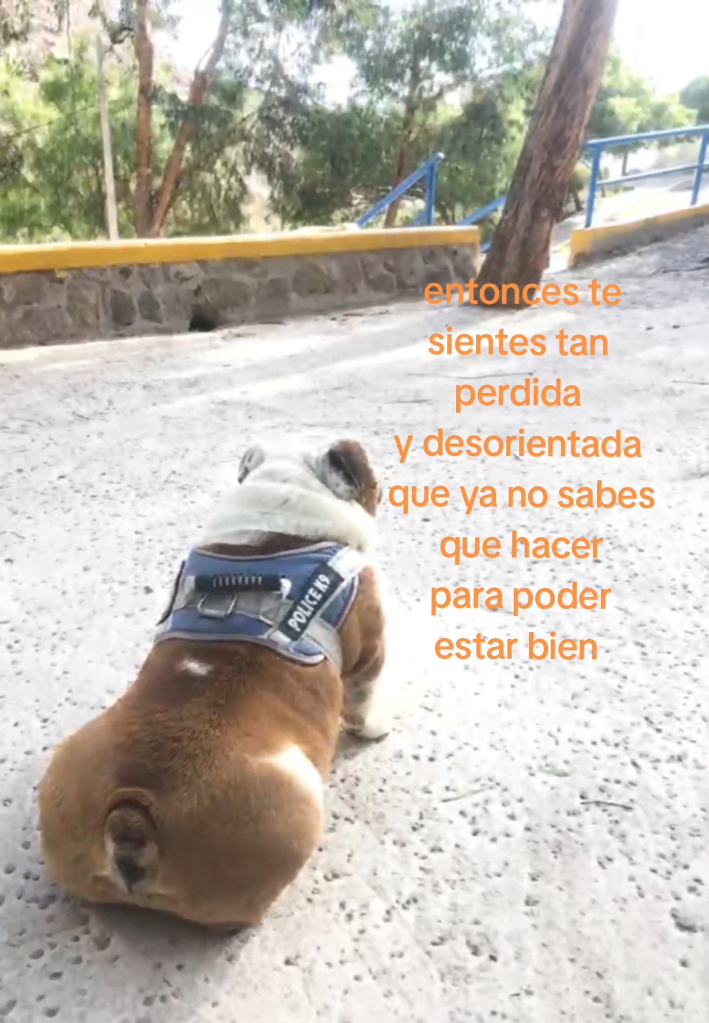 @Adhara Vianne