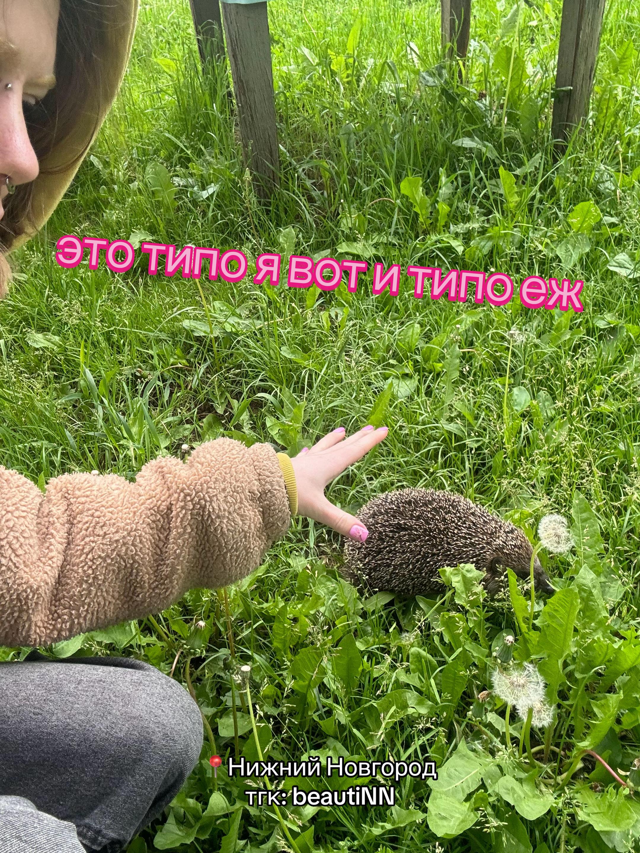 @НН|НОГТИ|РЕСНИЦЫ