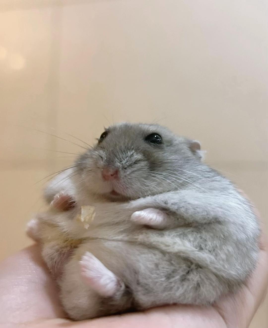 @𝒆𝒍𝒍𝒂✨