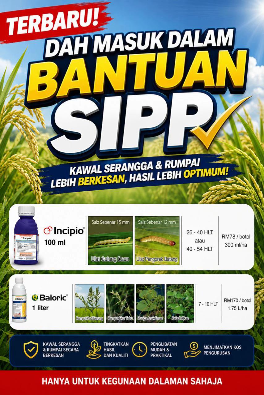 @CY Agriculture
