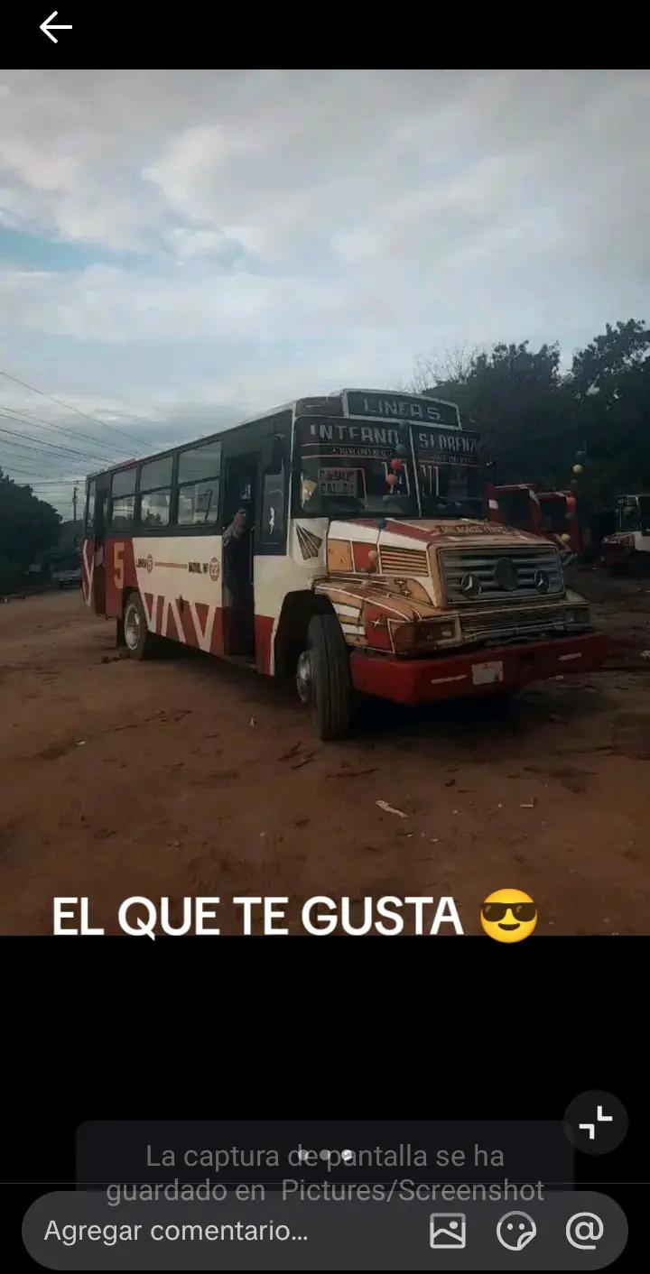 @flogao_san_lorenzo