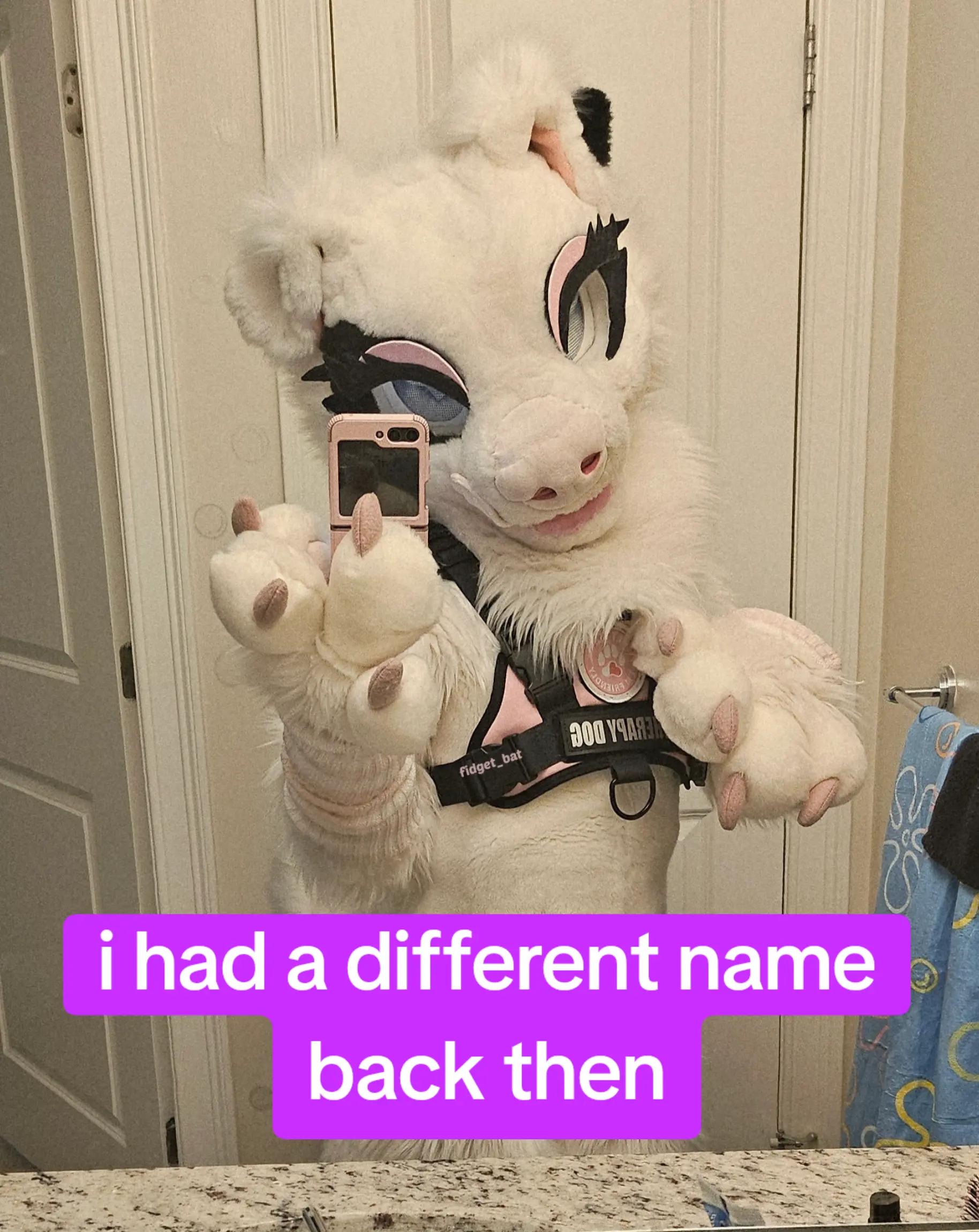 @fidget_batty🦇