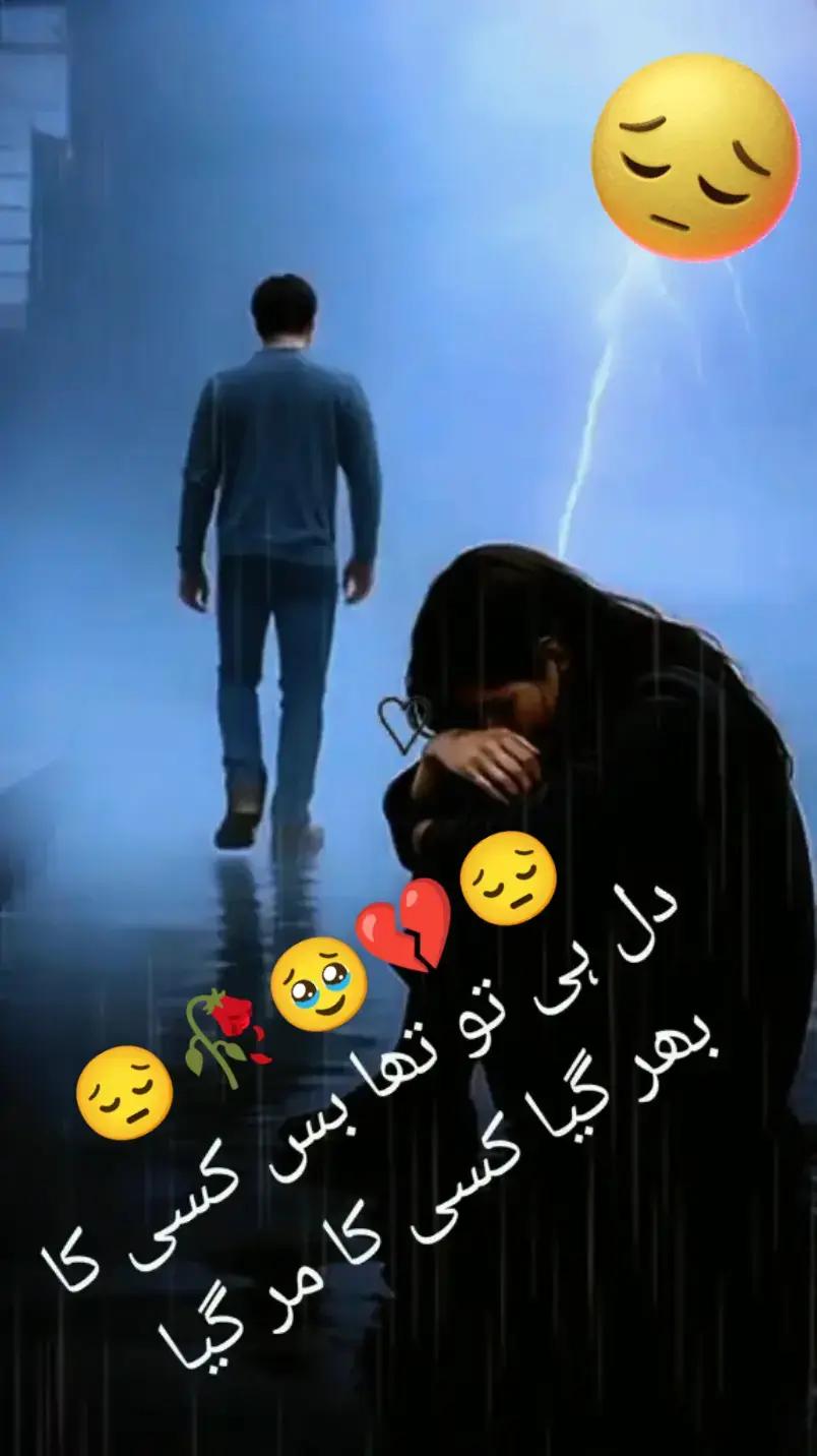 @Hassan Hussain💞