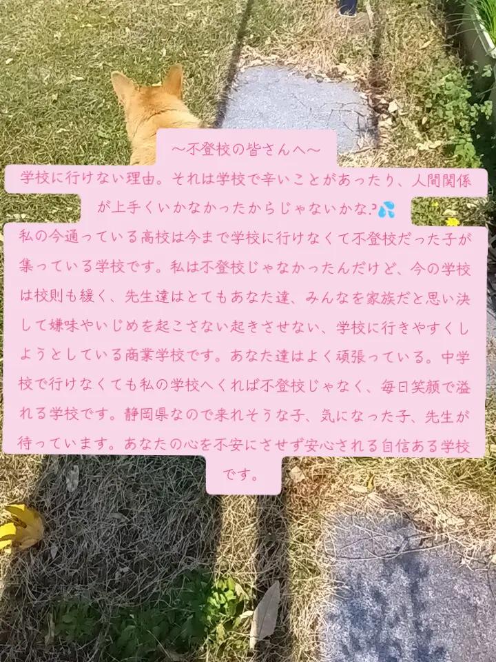 @橘 華夜⛓️🐺