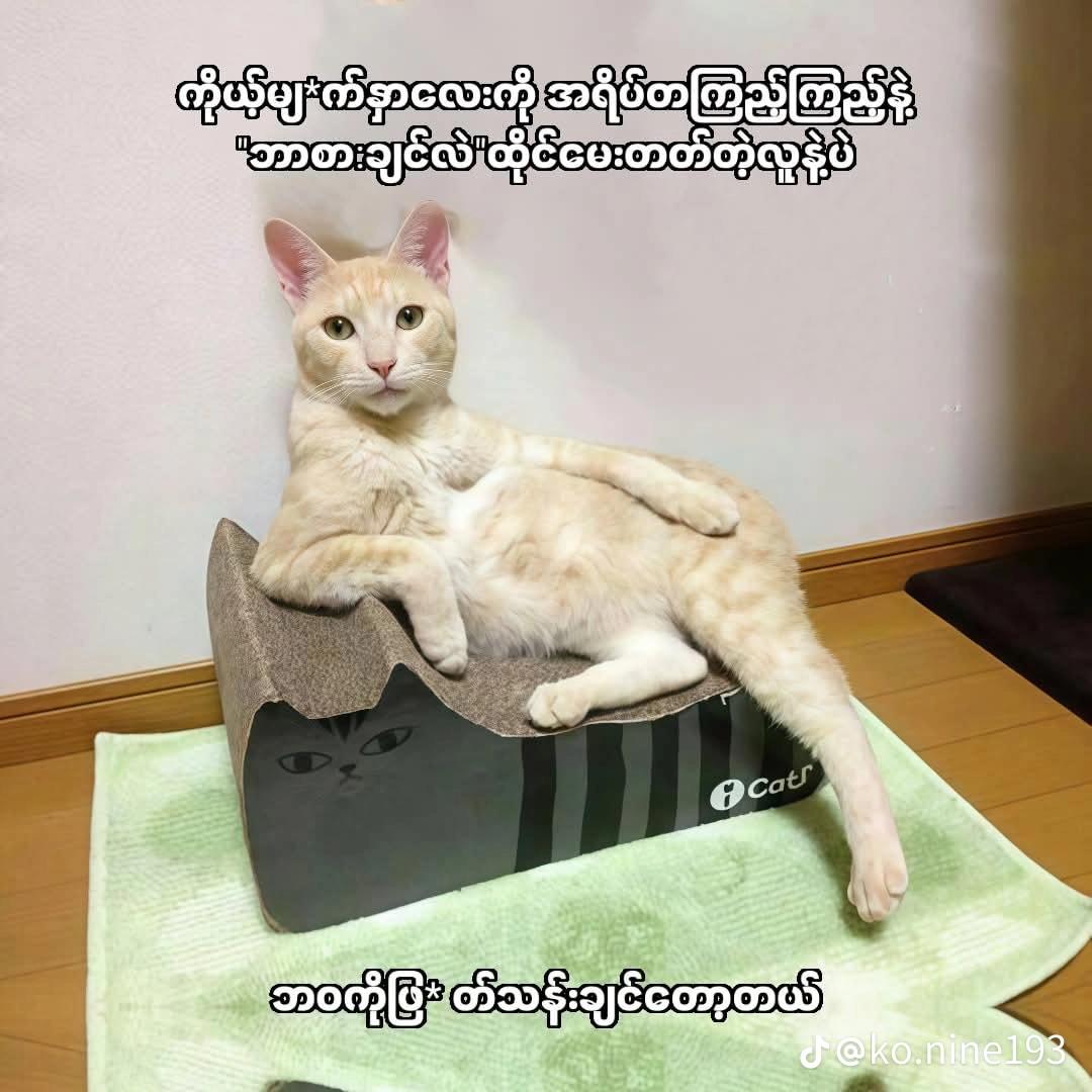 @๐ฅฐ๐๐ผ..girl...๐ผ๐๐ฅฐ
