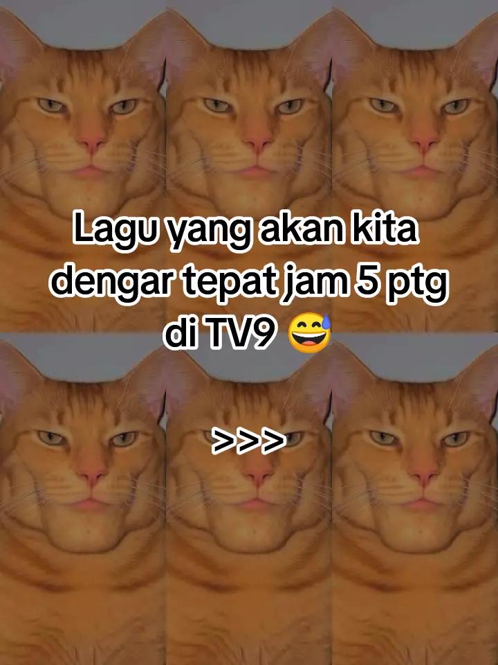 @HykalSazer01