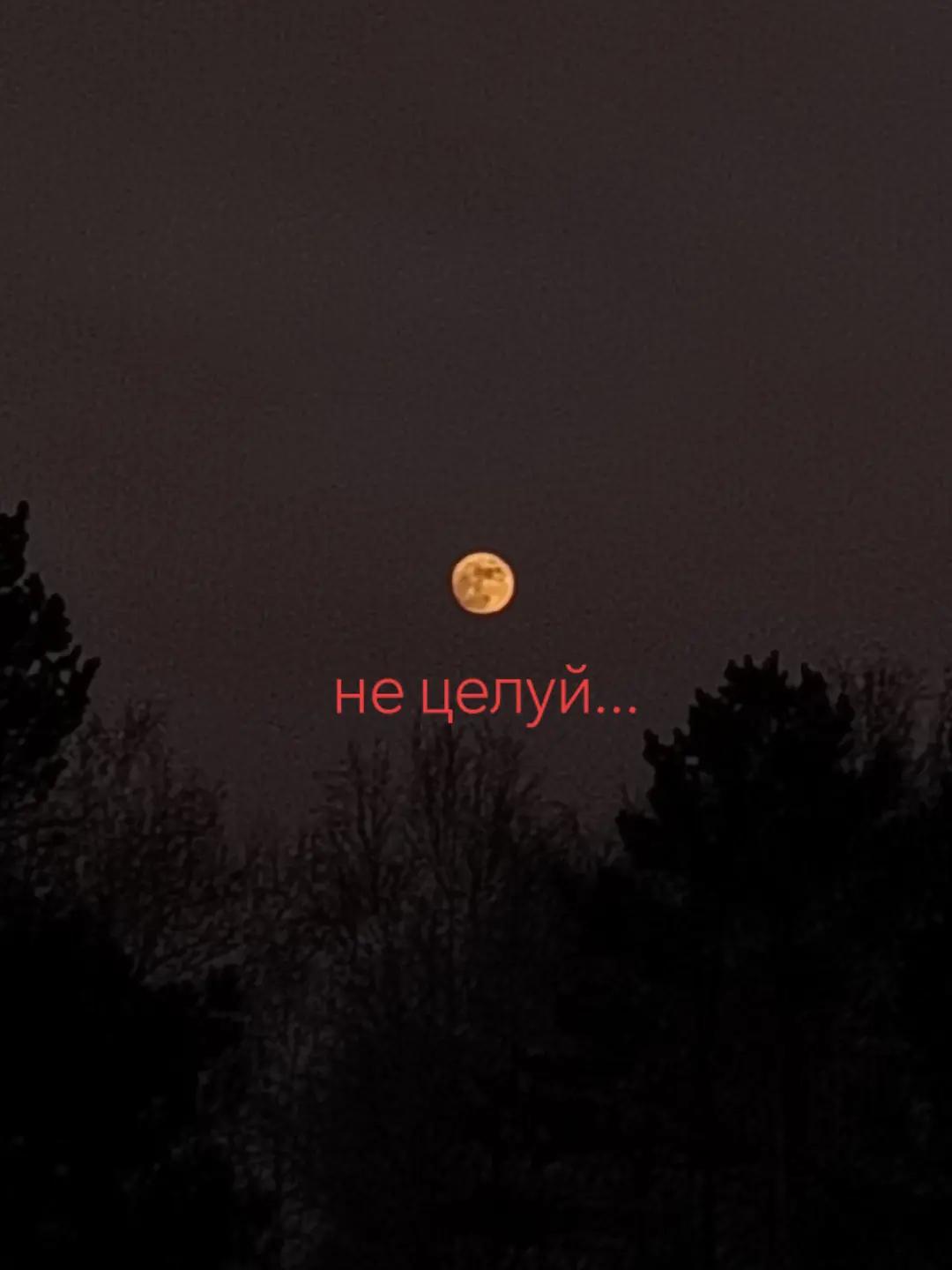 @тгк:vonenism💖