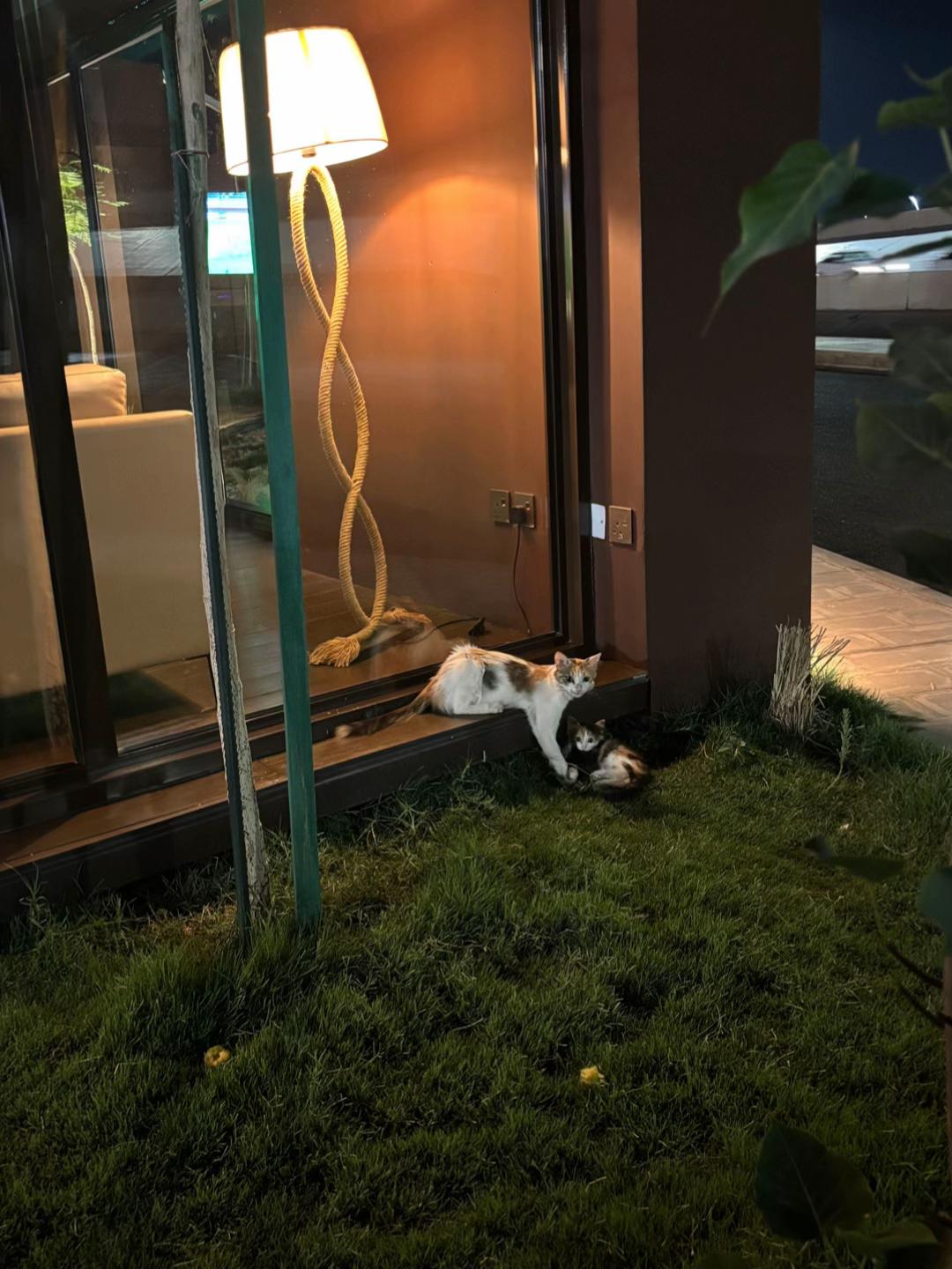 @&asymp;