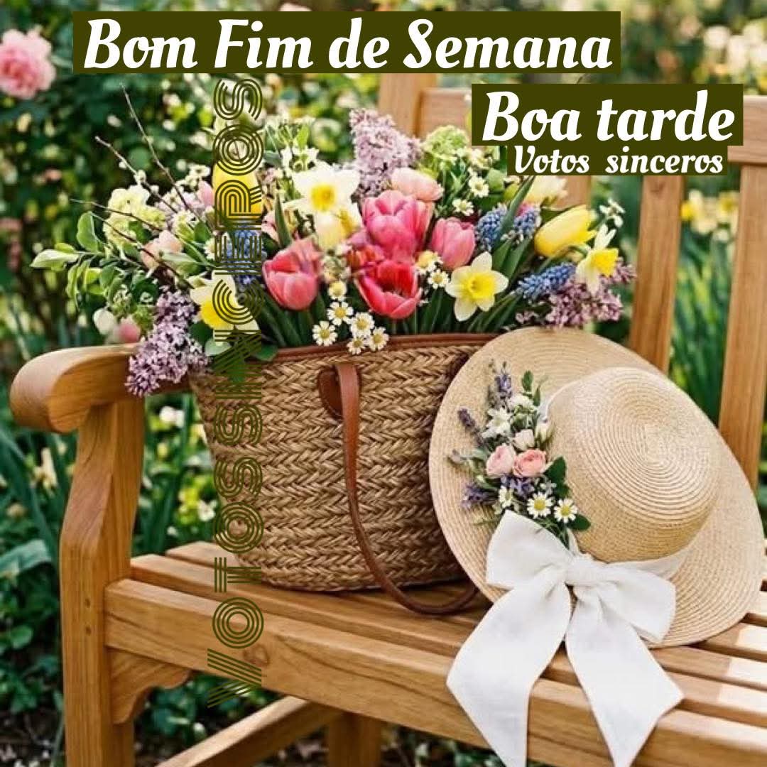 @nelsinha_