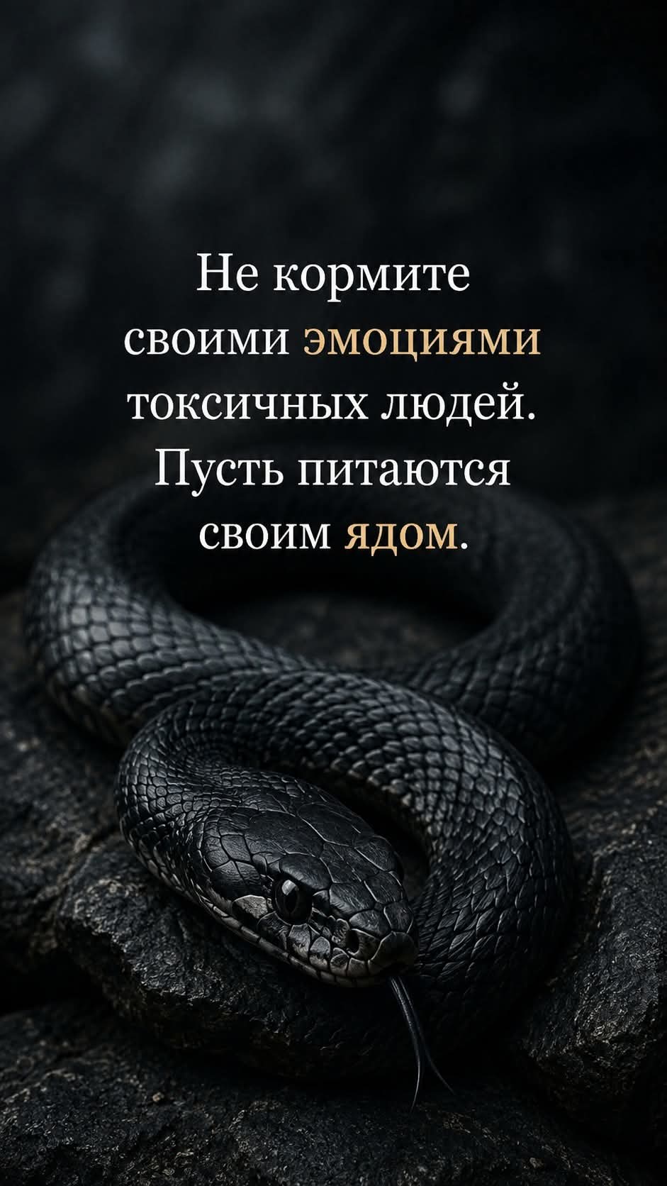 @erjan_talas