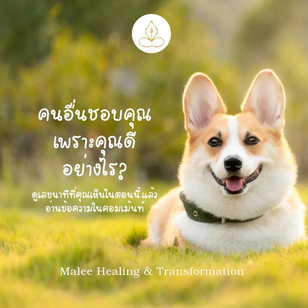 @Malee Healing & Transformation