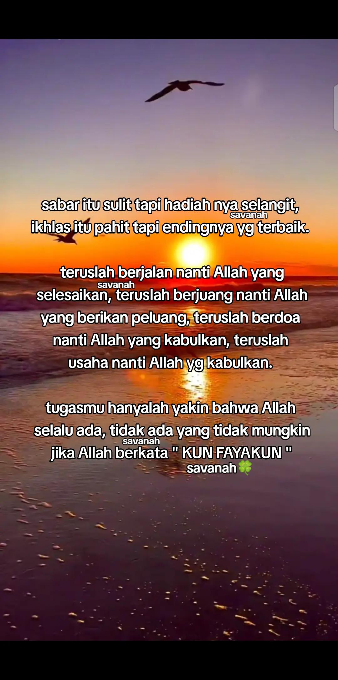 @Savanah🍀