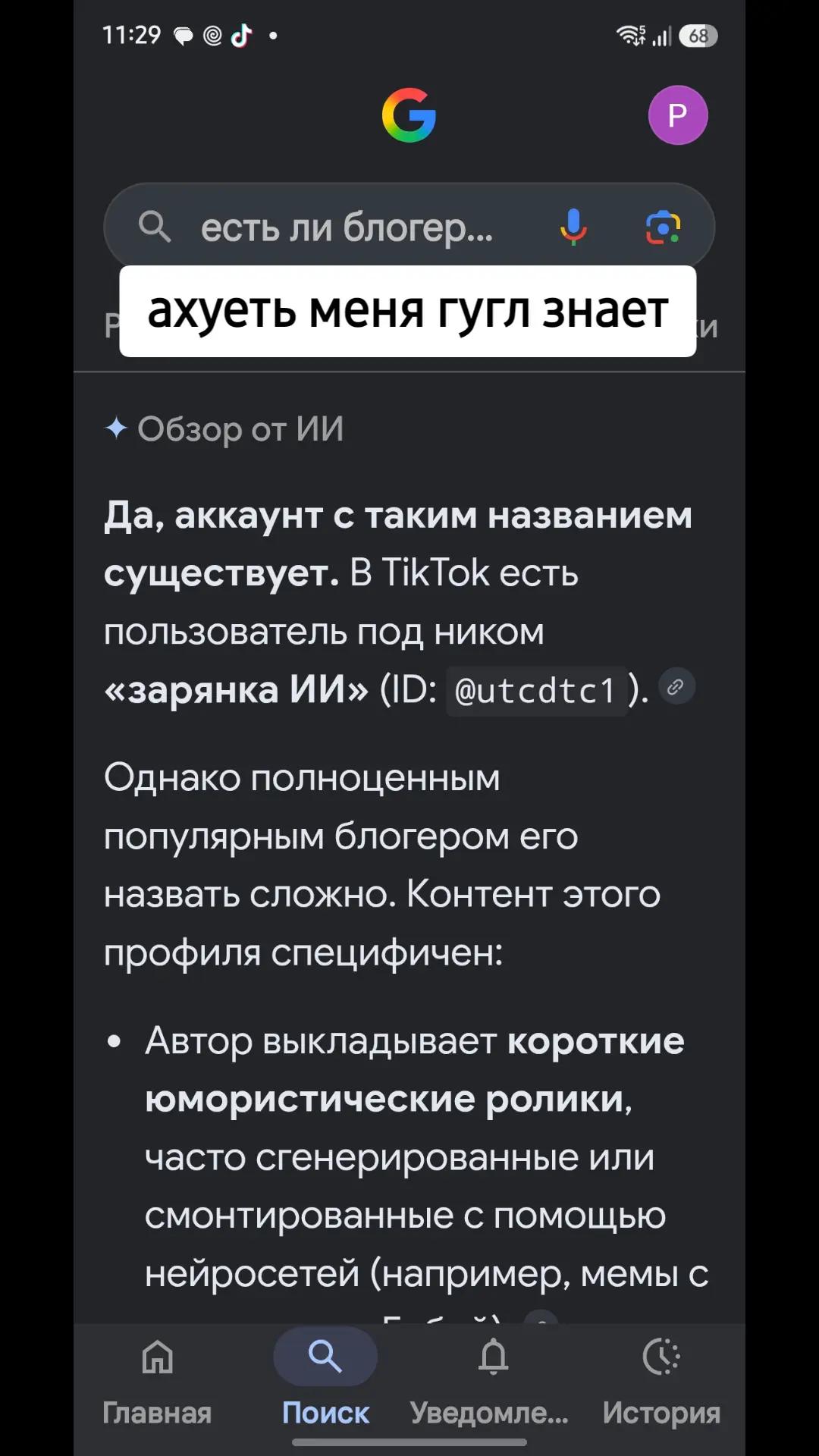@зарянка ИИ