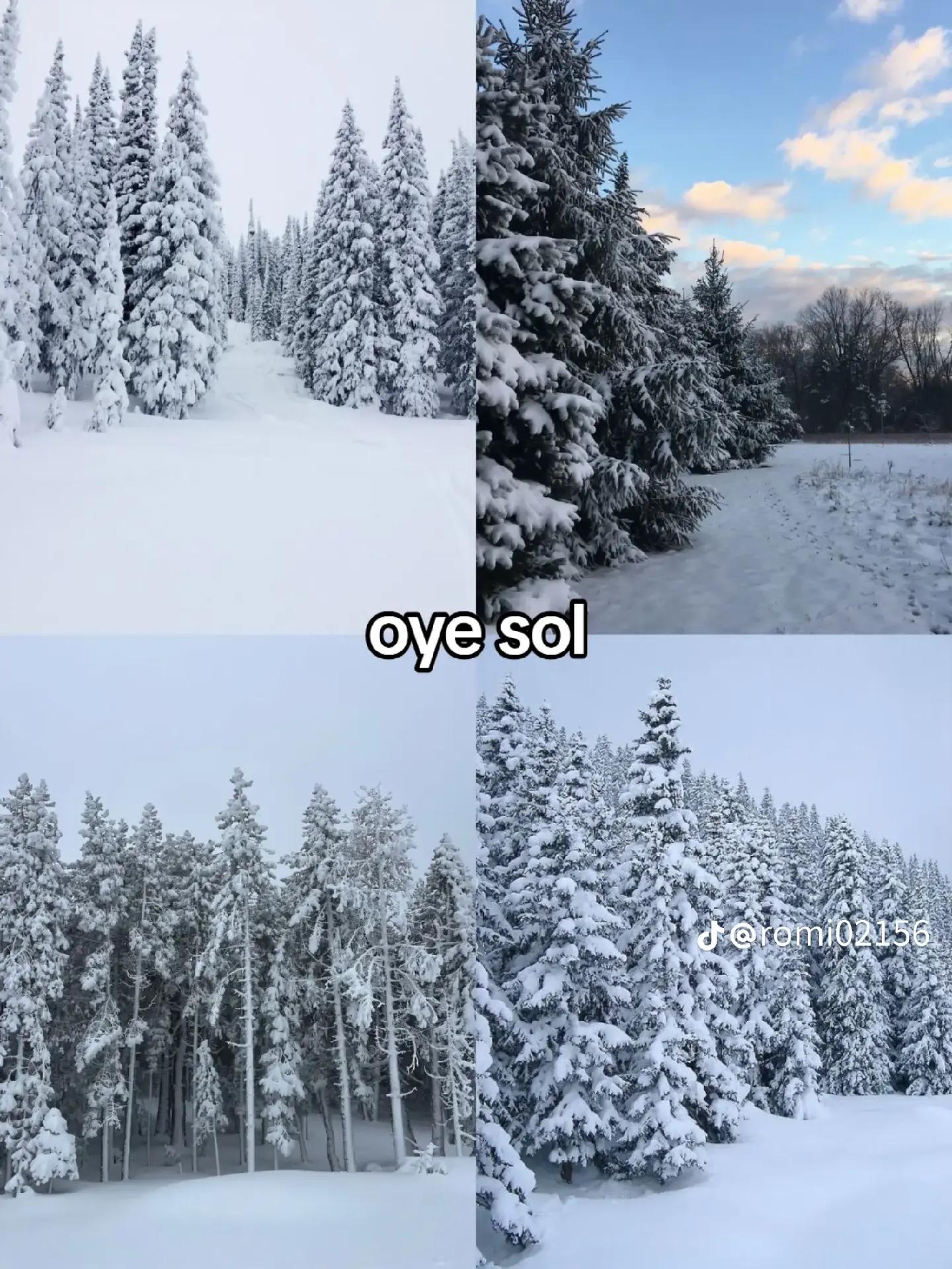@**✿❀ 𝗘𝘀𝘁𝗿𝗲𝗹𝗹𝗮 ❀✿**