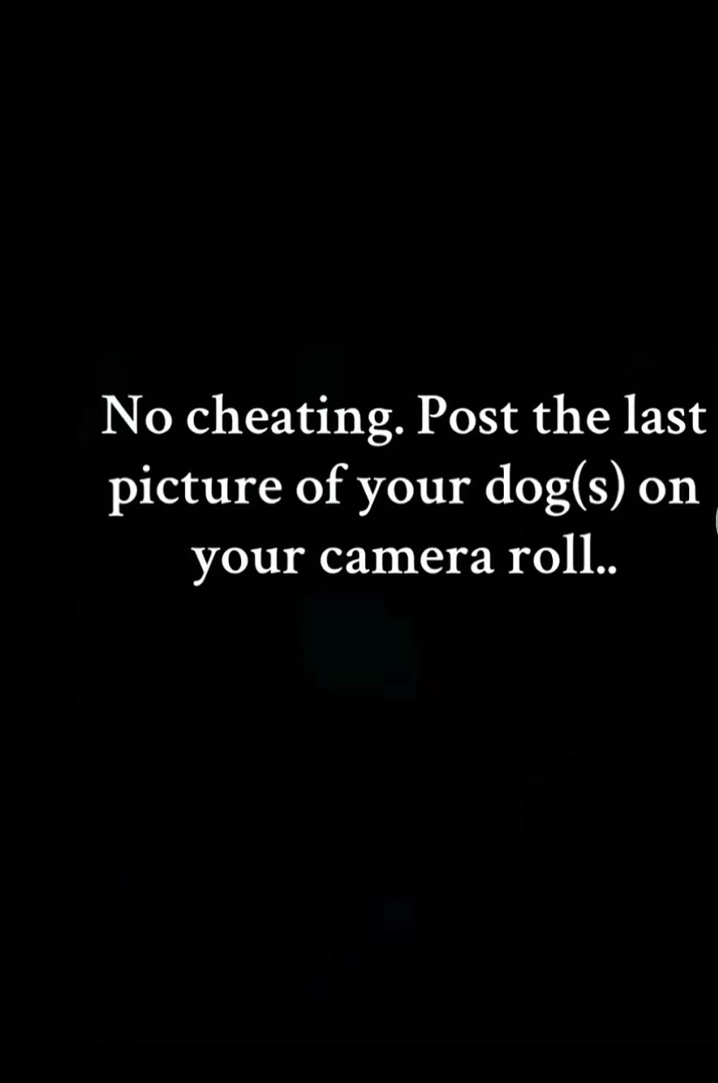 @Michelle