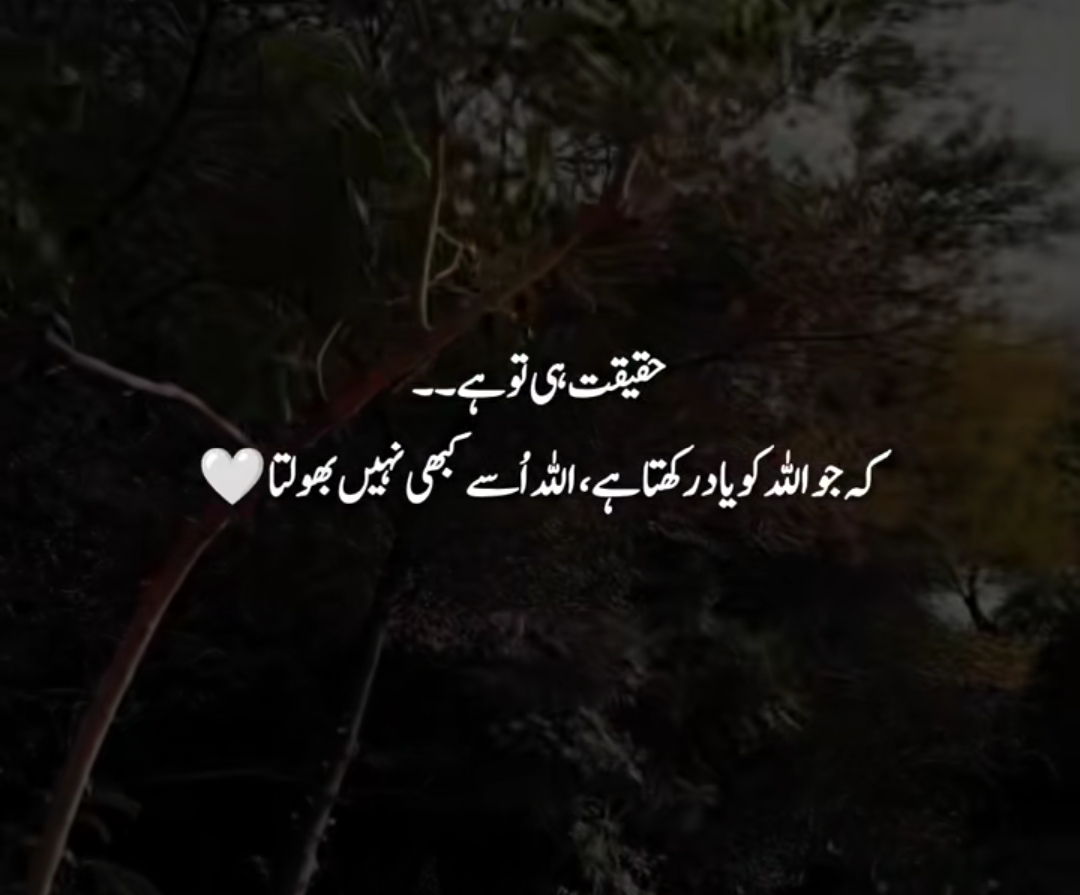 @HAIDER 07