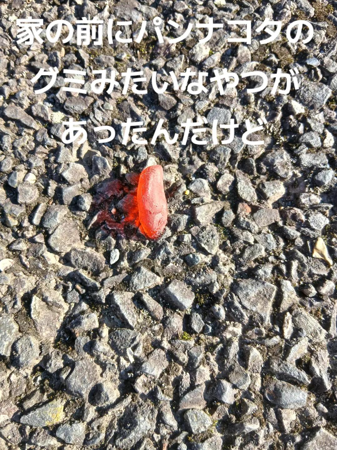 @るあ💙🌷👻/なお兄推し