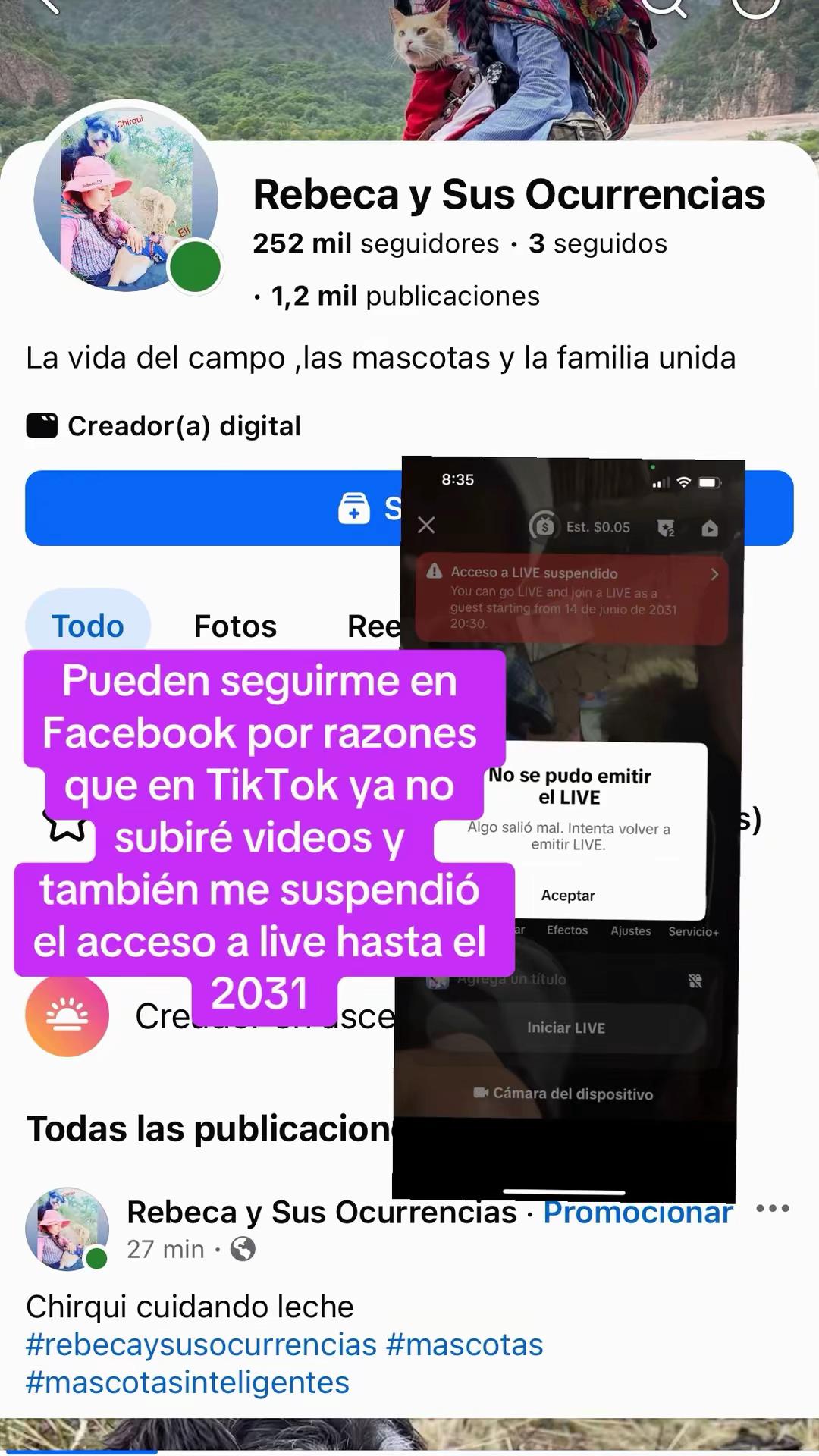 @🐈Rebeca y sus ocurrencias