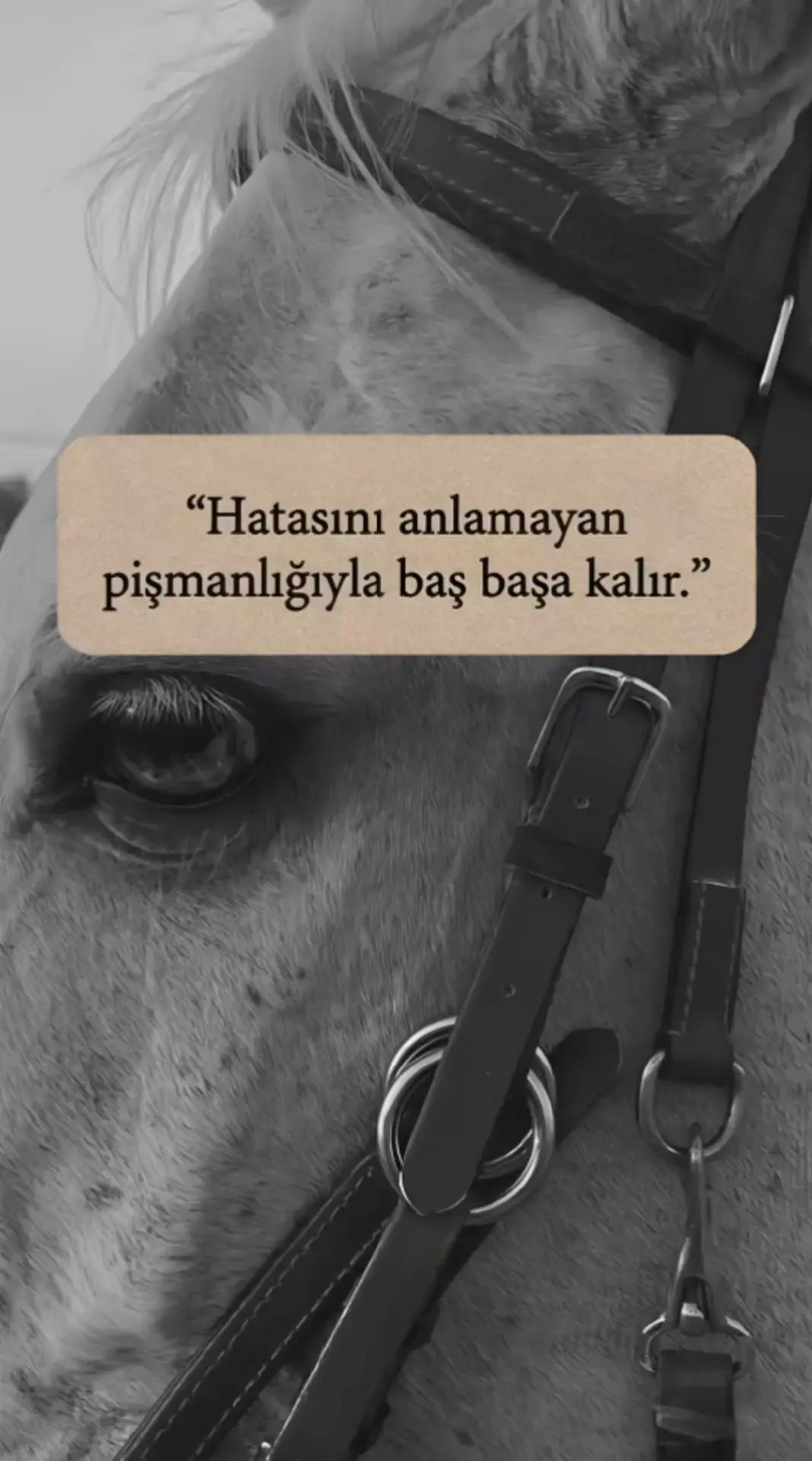 @kartanesi07