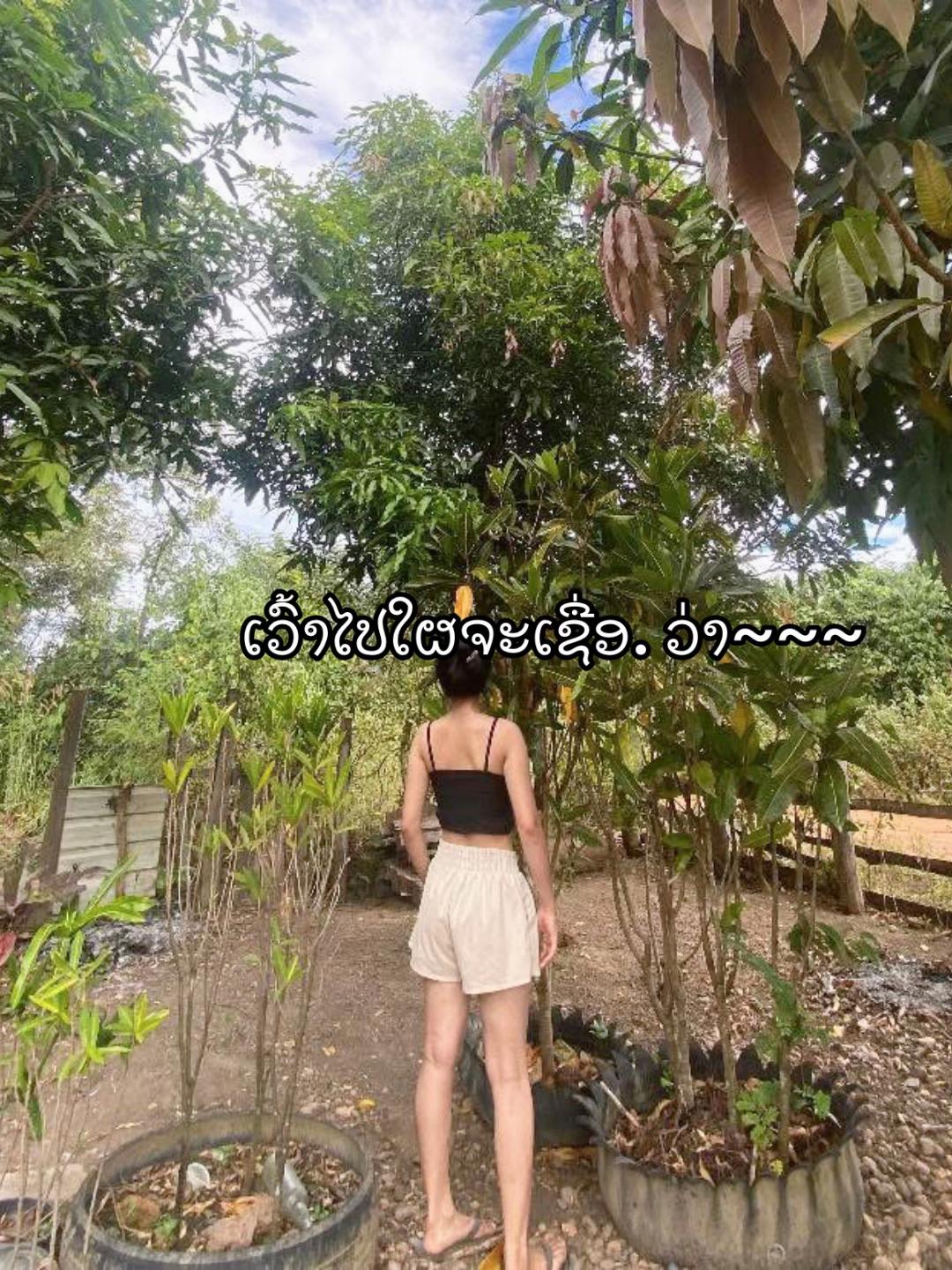 @Fon_2515🎀